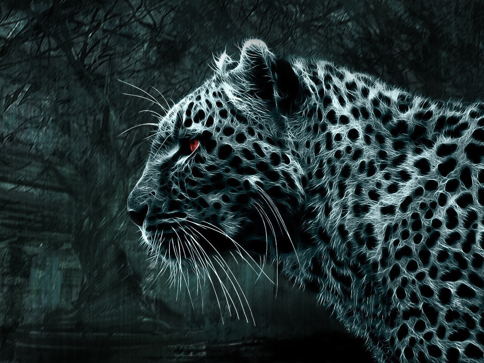 black, animals, leopards