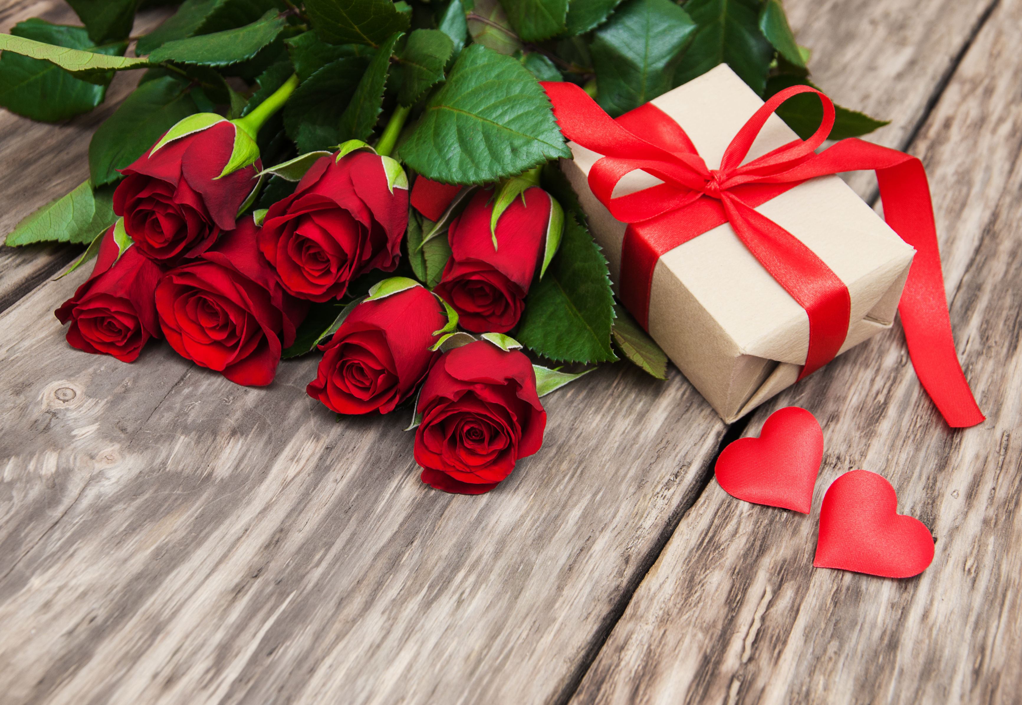 Скачать картинку Цветок, Роза, Подарки, Красная Роза, День Святого Валентина, Праздничные в телефон бесплатно.