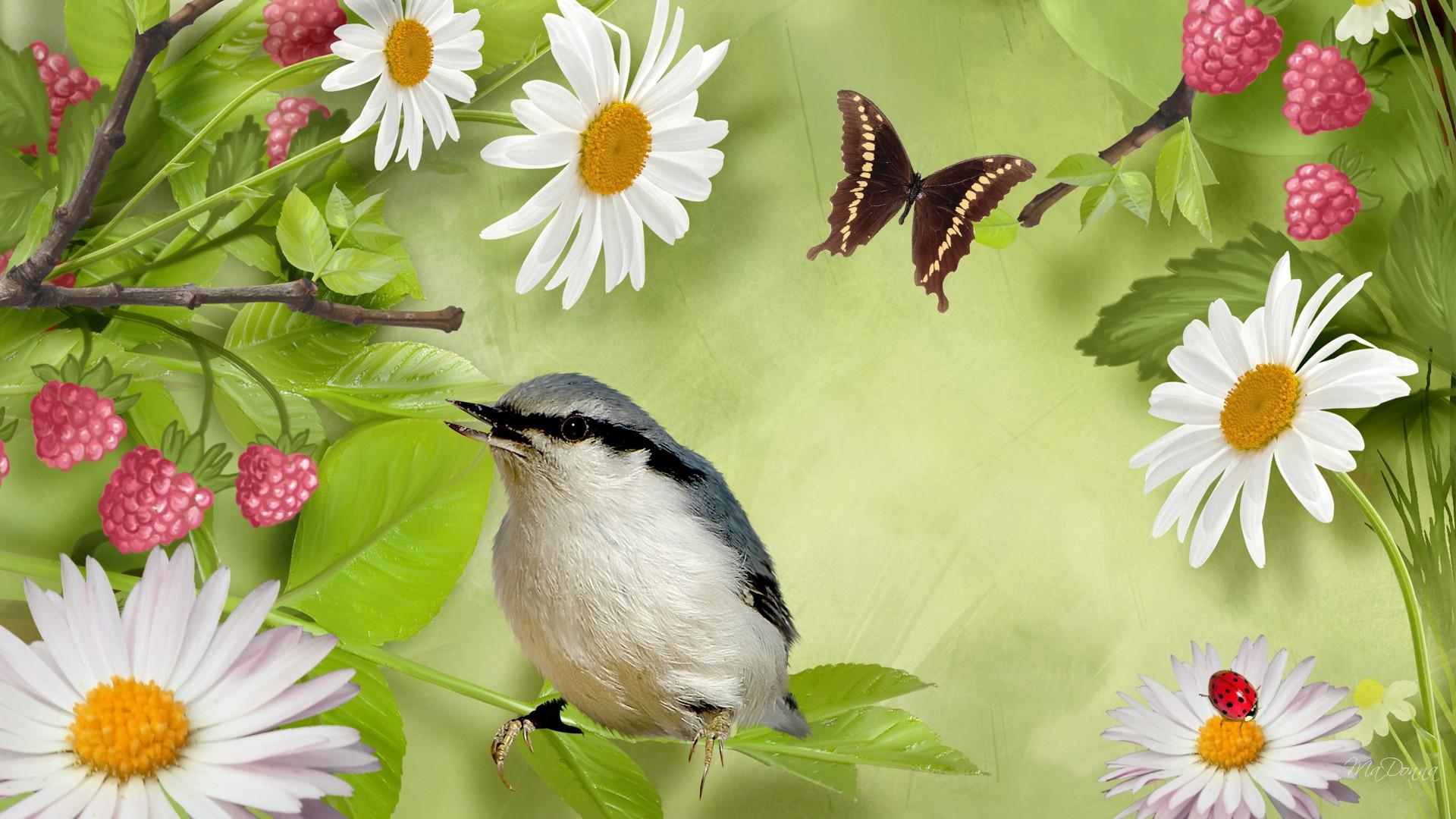 Téléchargez gratuitement l'image Animaux, Oiseau, Des Oiseaux sur le bureau de votre PC