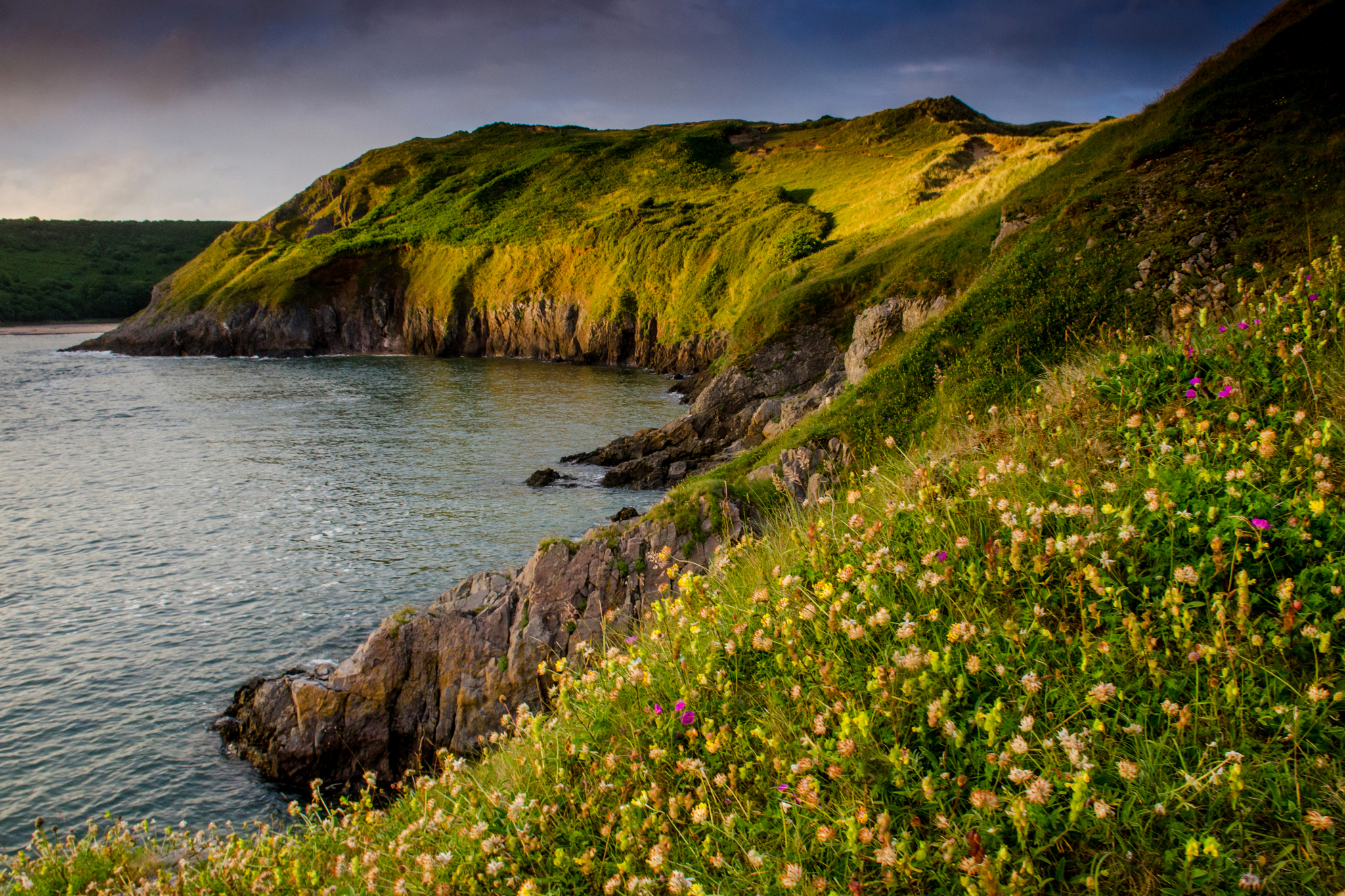 Laden Sie das Blume, Küste, England, Erde/natur-Bild kostenlos auf Ihren PC-Desktop herunter