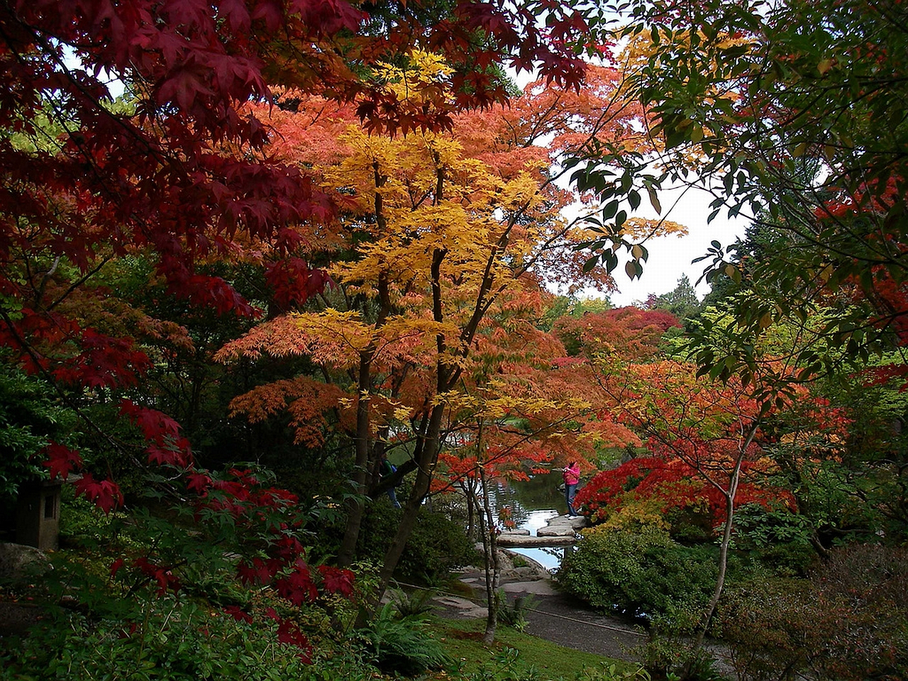 PCデスクトップに公園, 写真撮影画像を無料でダウンロード