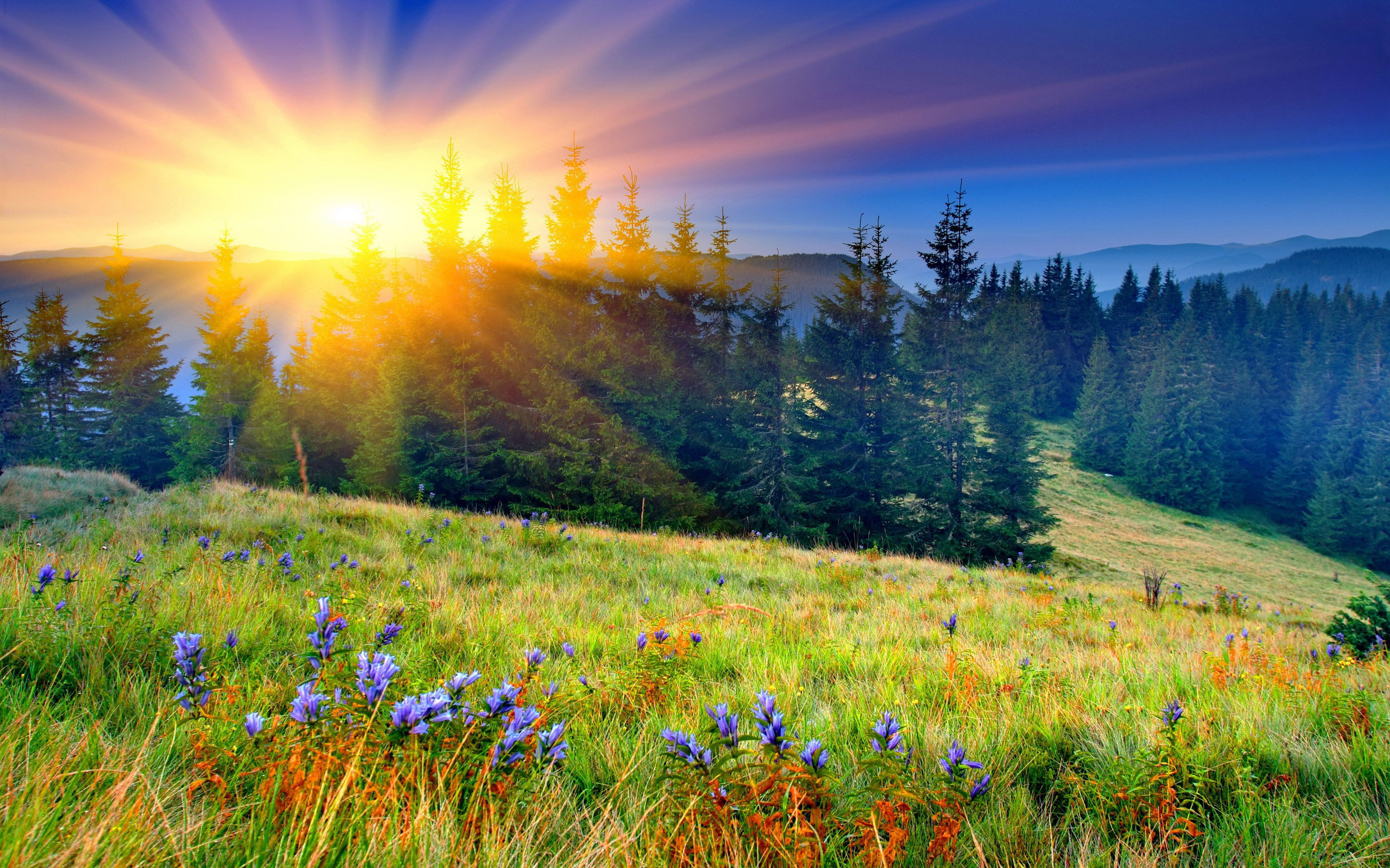 Download mobile wallpaper Landscape, Sunset, Mountain, Flower, Tree, Earth, Field, Sunbeam for free.