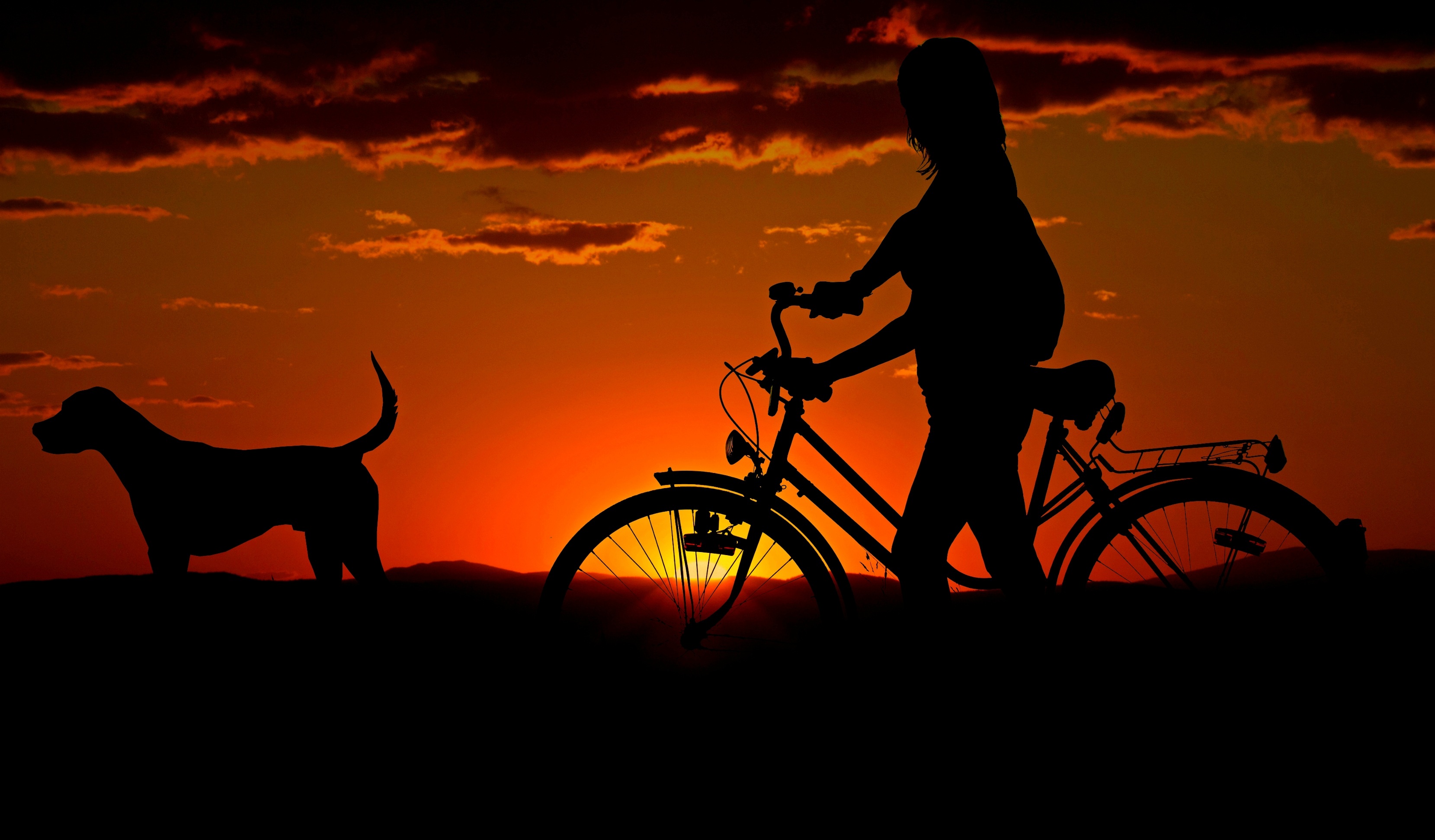 Baixar papel de parede para celular de Pôr Do Sol, Silhueta, Cão, Bicicleta, Pessoa, Fotografia gratuito.