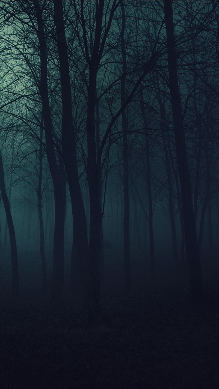 Download mobile wallpaper Dark, Forest for free.