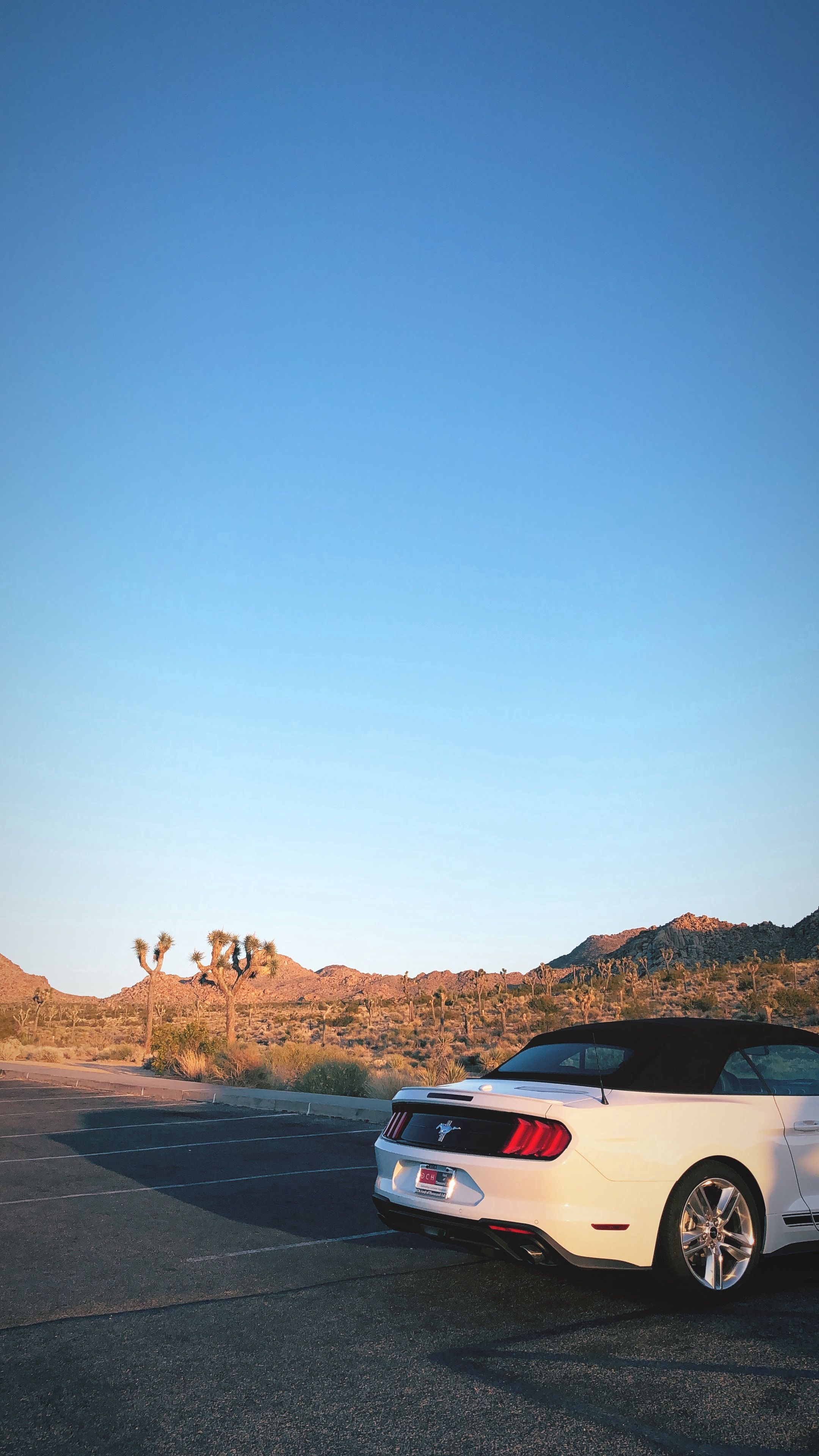 desert, cars, car, journey, ford mustang, rear bumper