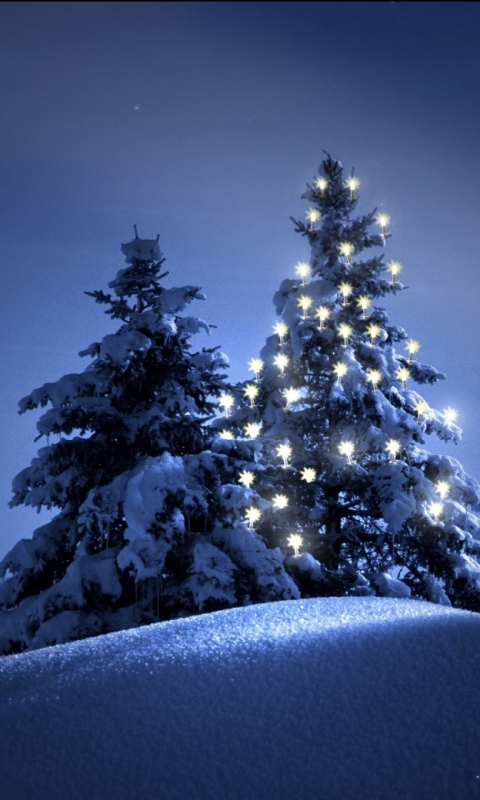 Download mobile wallpaper Winter, Snow, Christmas, Holiday, Christmas Tree for free.