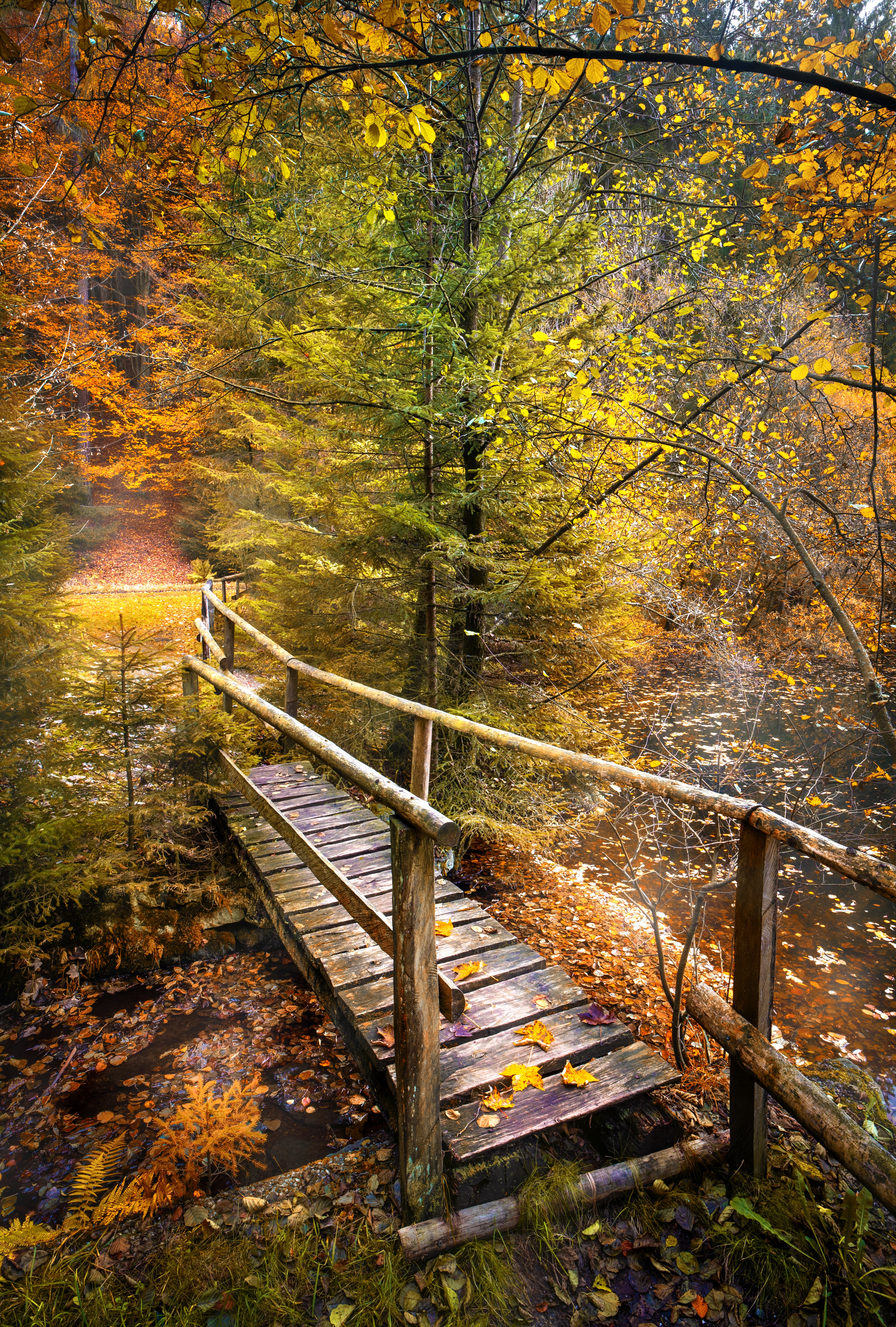 bridge, autumn, nature, rivers, forest 4K