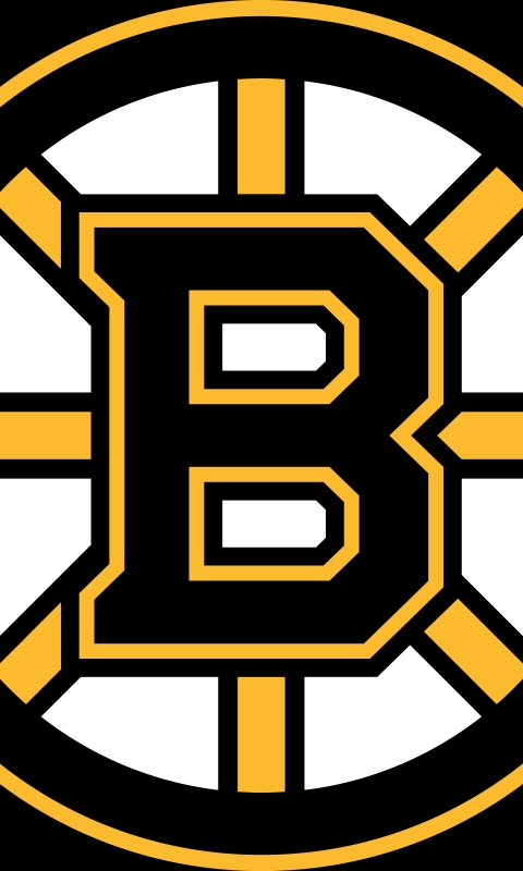 Download mobile wallpaper Sports, Hockey, Boston Bruins for free.