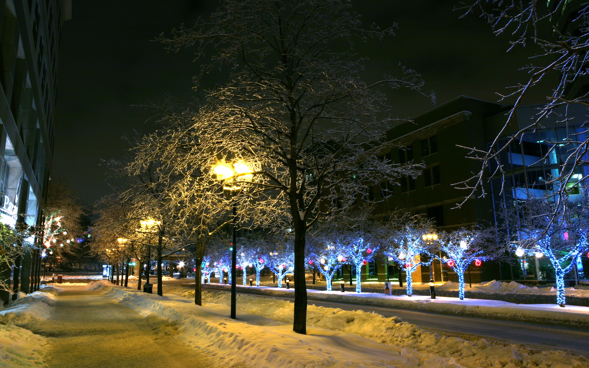 Download mobile wallpaper Place, Light, Snow, Photography, Path, Tree, Night for free.