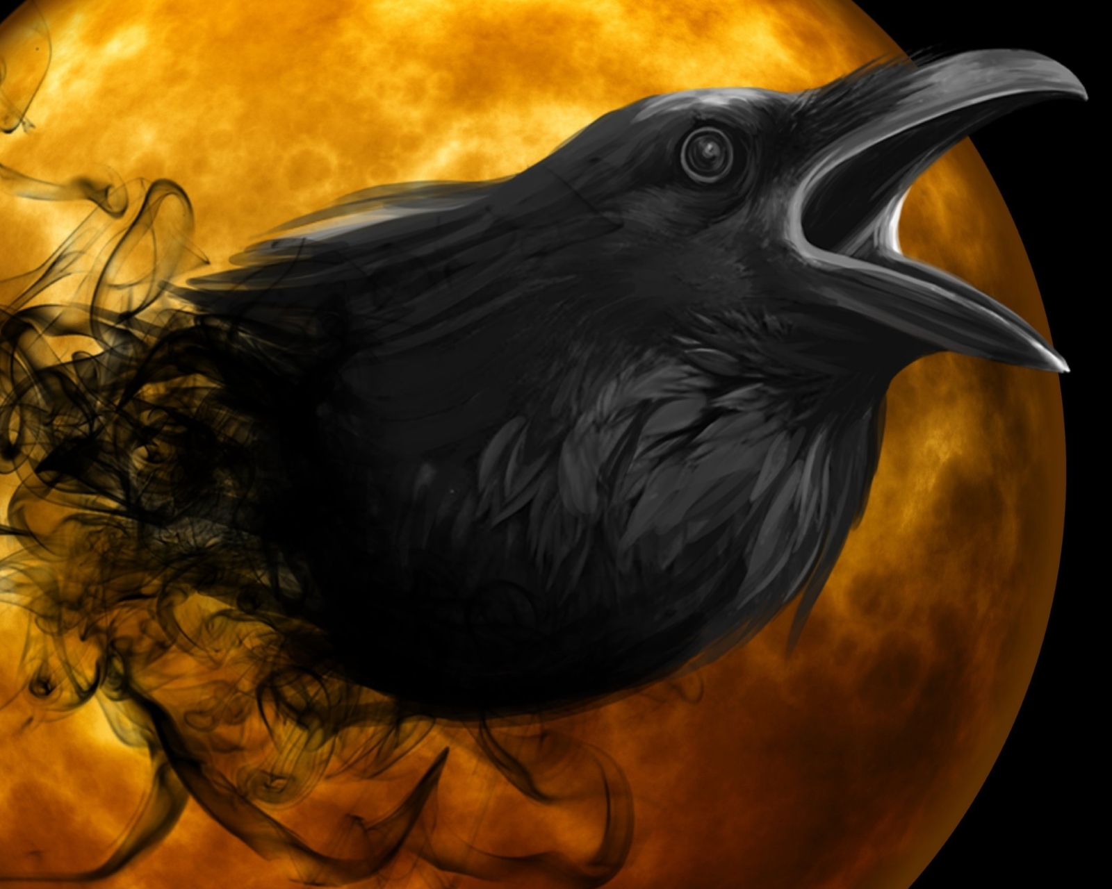 Download mobile wallpaper Halloween, Bird, Holiday, Raven for free.