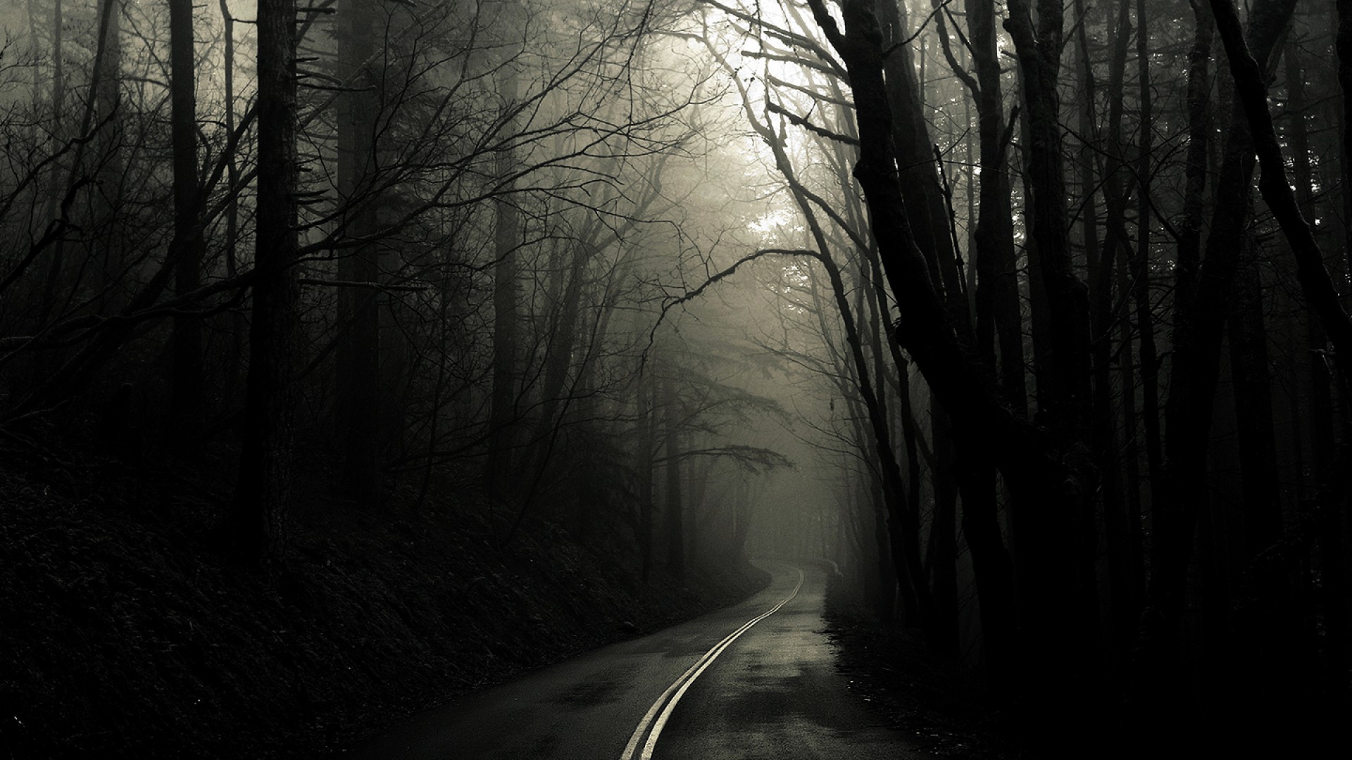 Download mobile wallpaper Dark, Road, Forest for free.