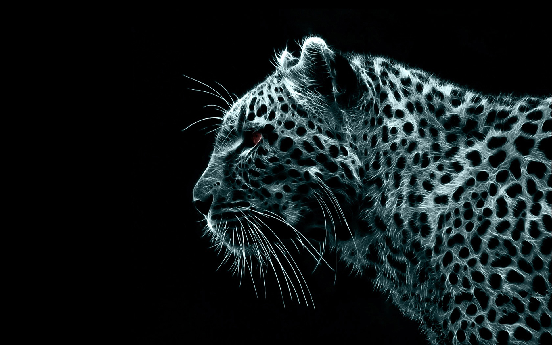 9368 descargar fondo de pantalla arte, leopardos, animales, negro: protectores de pantalla e imágenes gratis