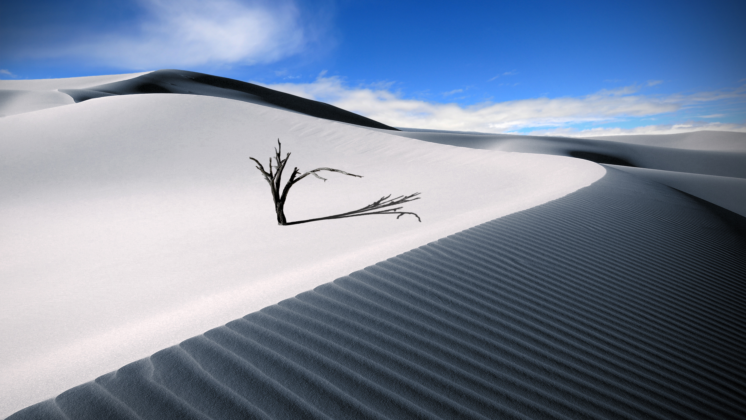220236 descargar imagen tierra/naturaleza, desierto, duna: fondos de pantalla y protectores de pantalla gratis