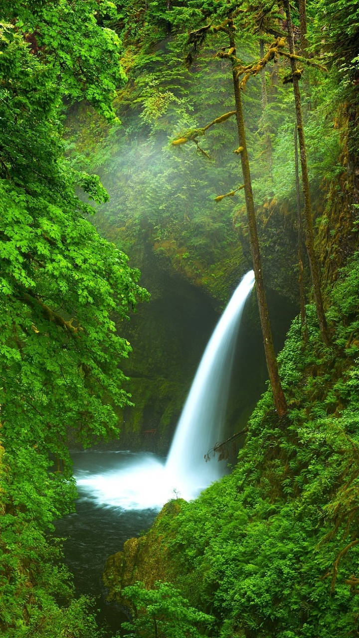 Download mobile wallpaper Waterfalls, Waterfall, Forest, Earth, Creek for free.