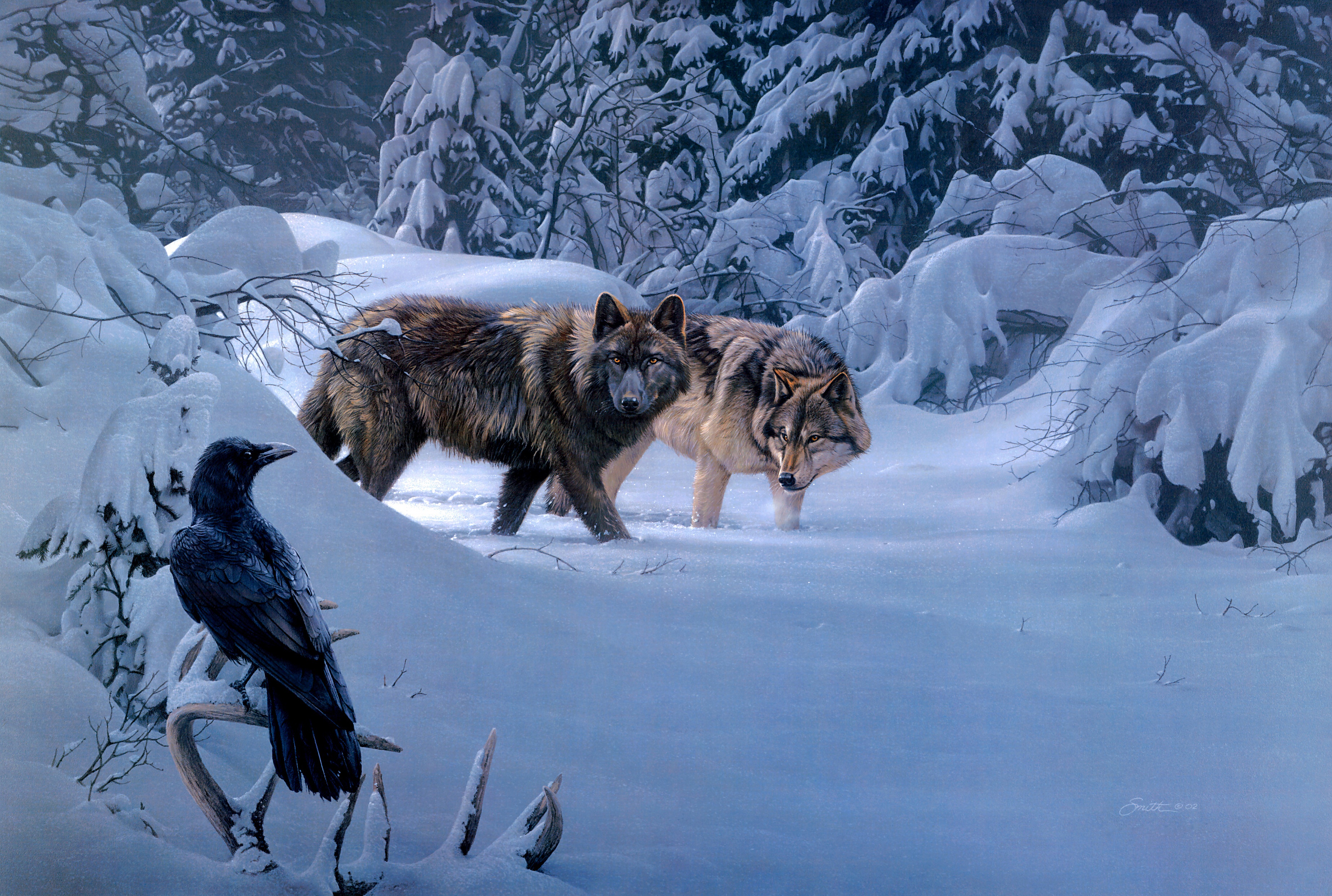 Download mobile wallpaper Winter, Bird, Wolf, Animal, Raven, Wolves for free.