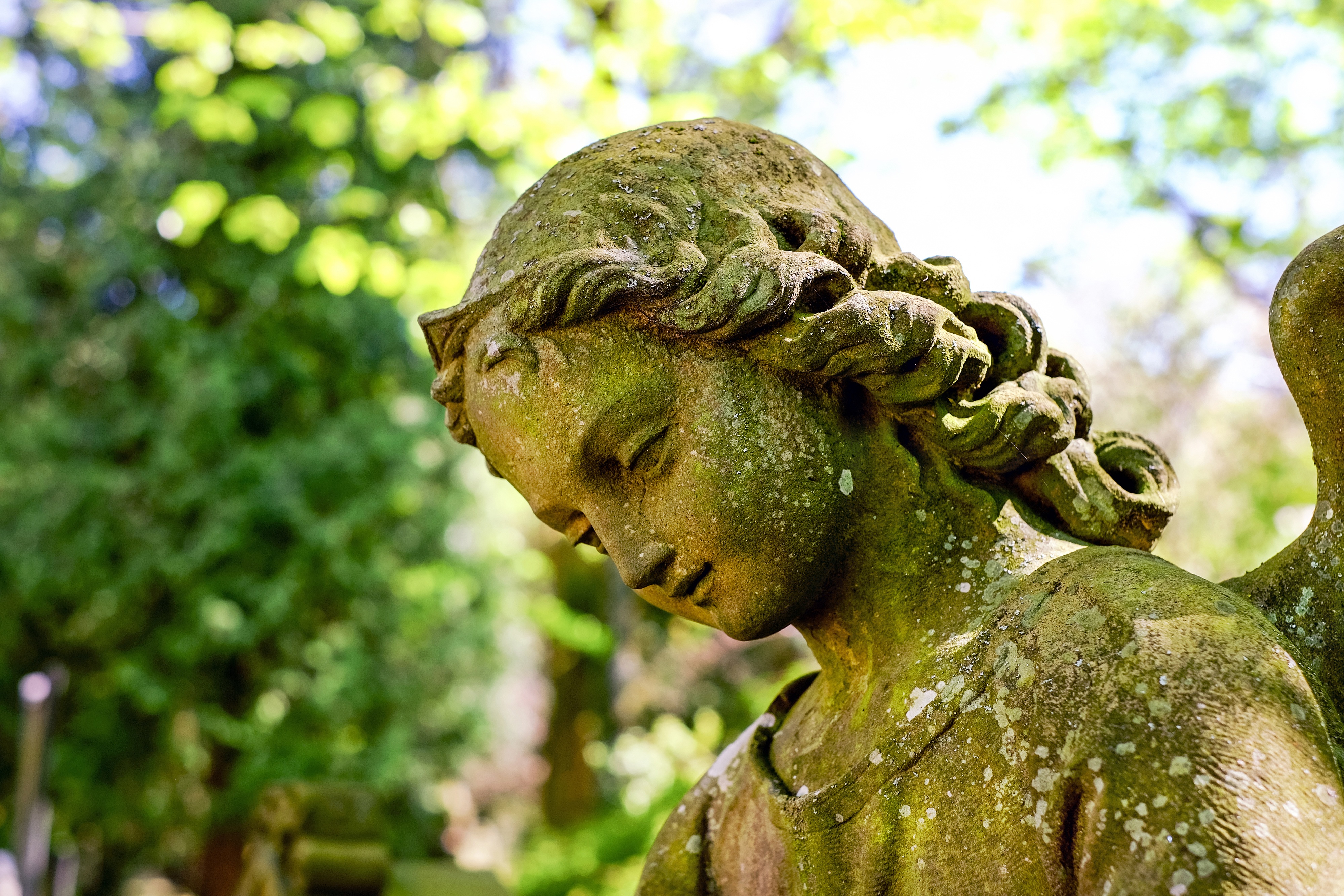Free download wallpaper Close Up, Statue, Bokeh, Man Made, Angel Statue on your PC desktop