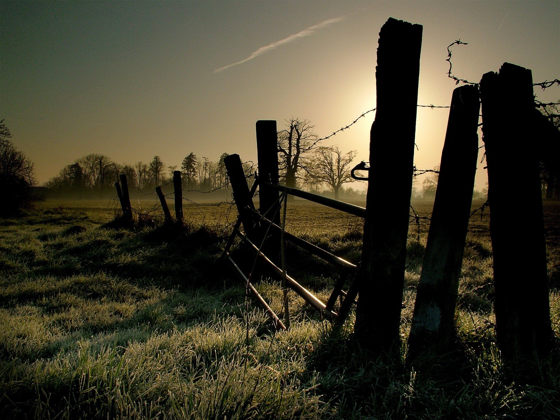 enclosure, nature, grass, shine, light, morning, frost, fencing, wire