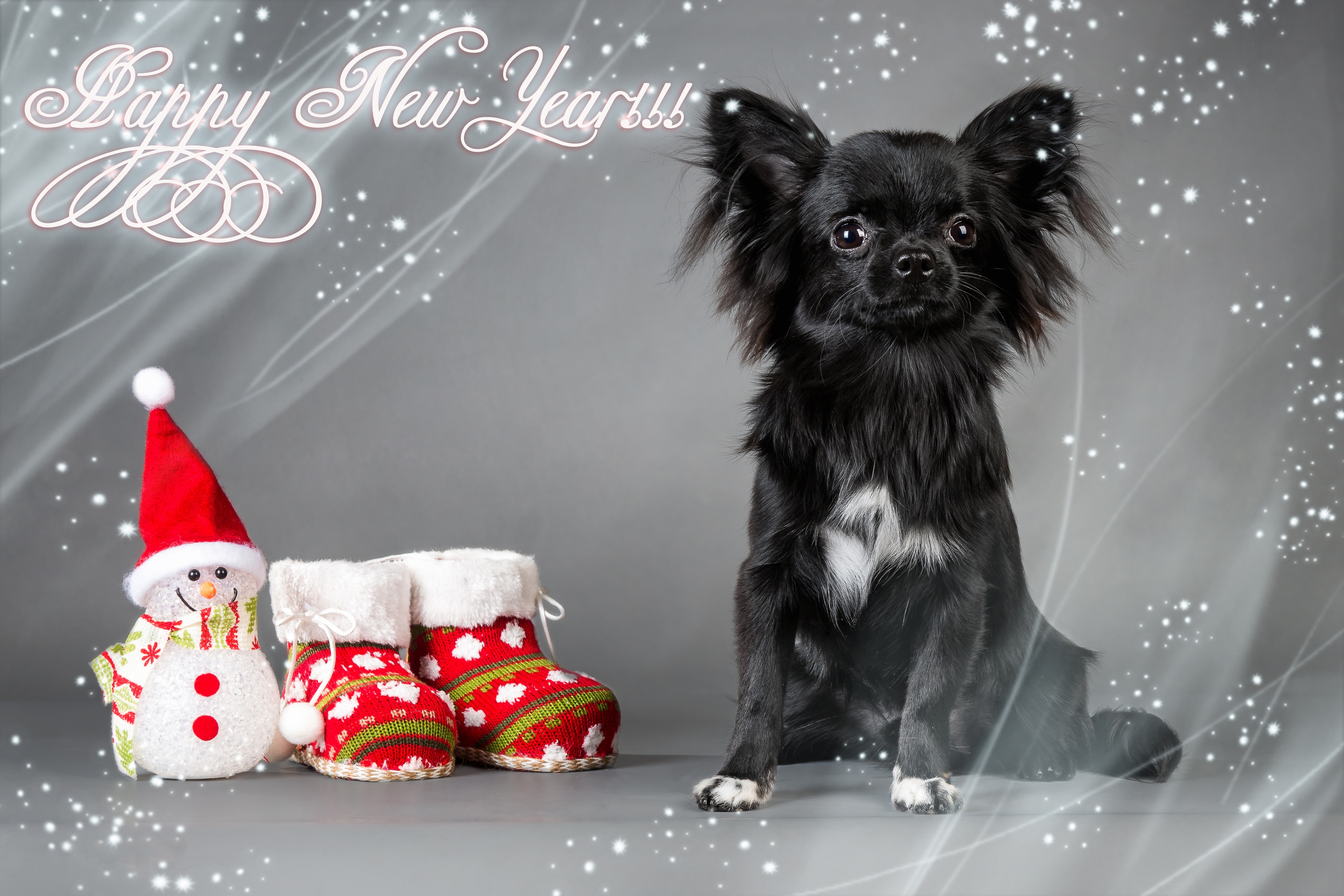 Baixar papel de parede para celular de Animais, Cães, Ano Novo, Natal, Boneco De Neve, Cão, Chihuahua gratuito.