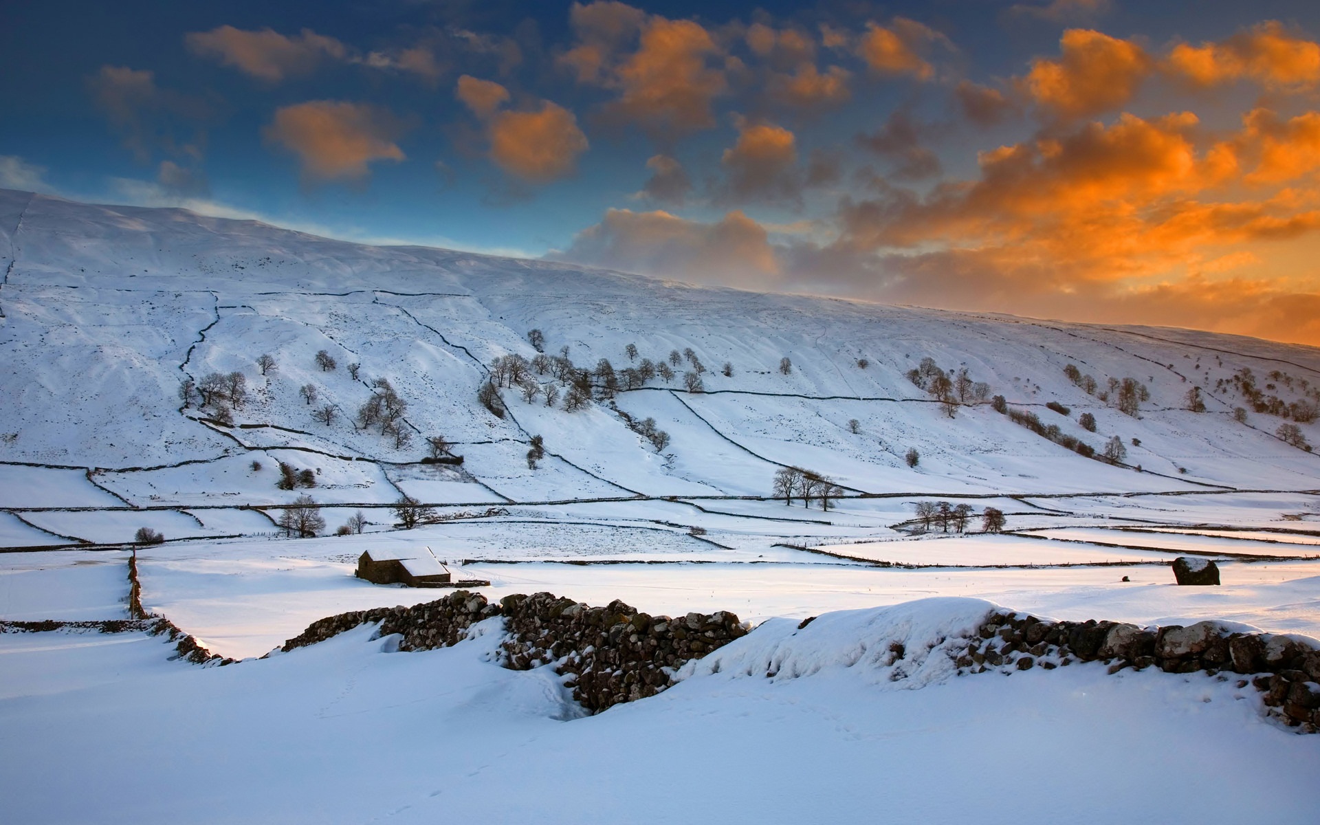 Descarga gratuita de fondo de pantalla para móvil de Invierno, Tierra/naturaleza.