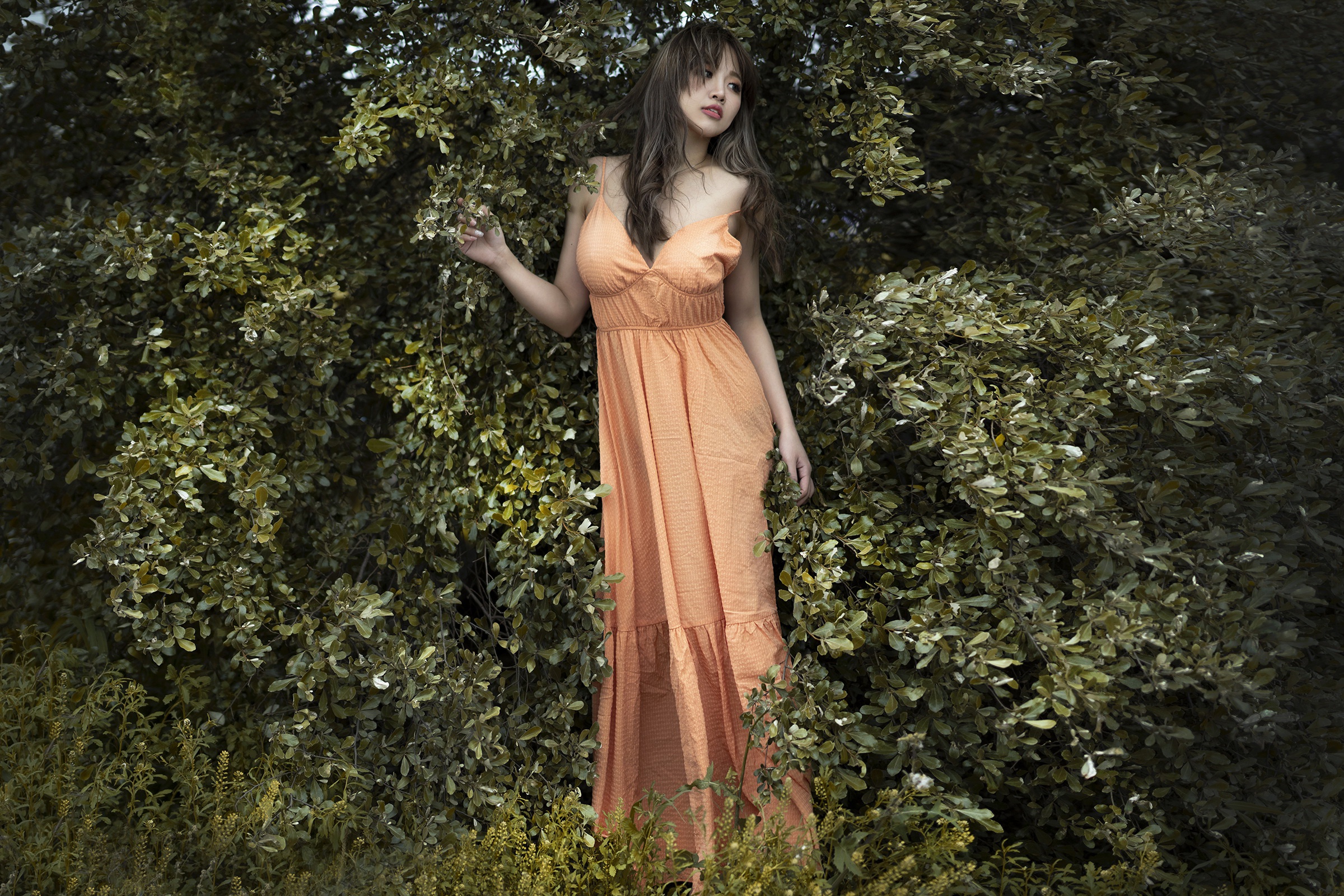 Download mobile wallpaper Brunette, Model, Women, Asian, Orange Dress for free.