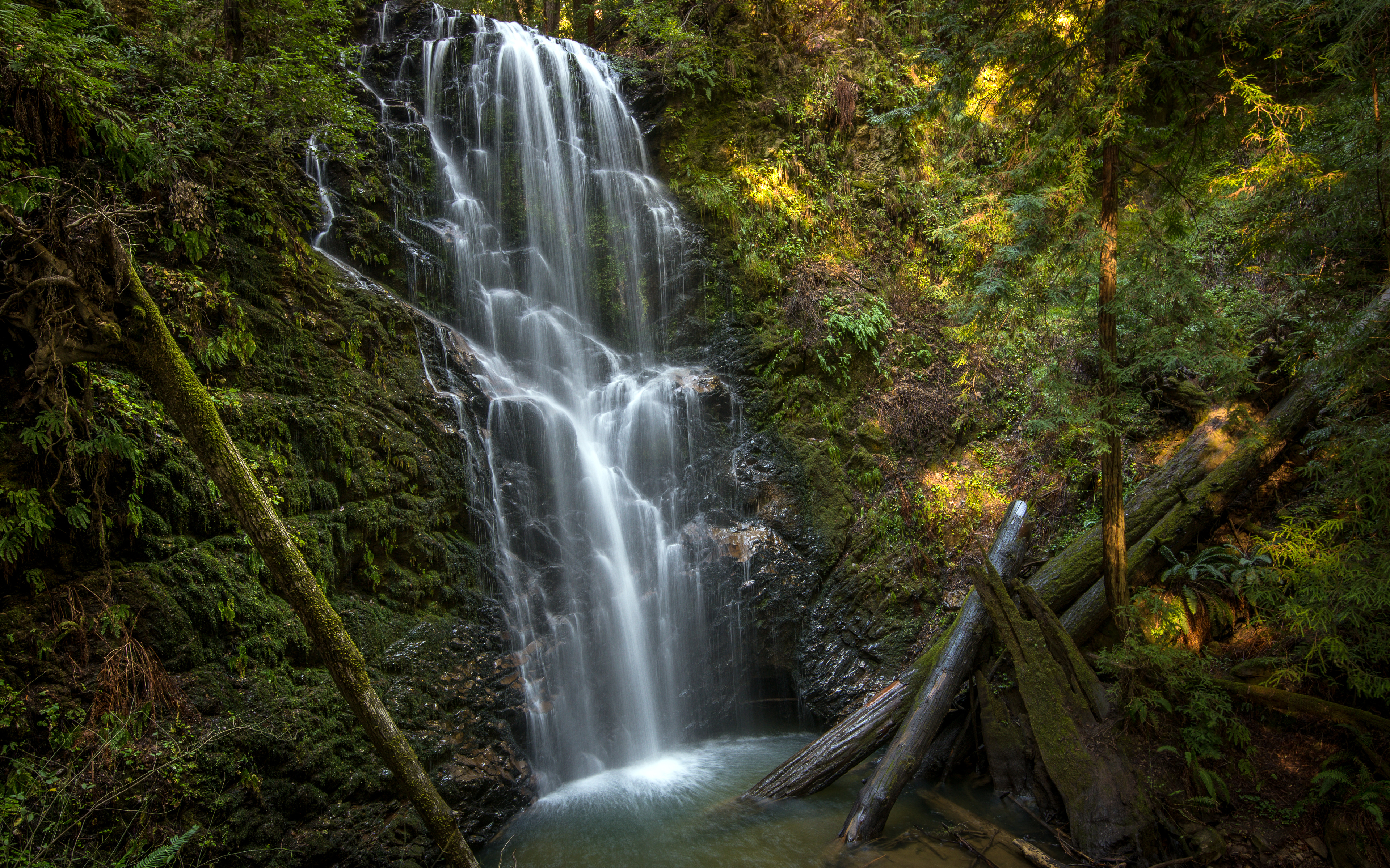 earth, waterfall, california, nature, park, stem, vegetation, water, waterfalls