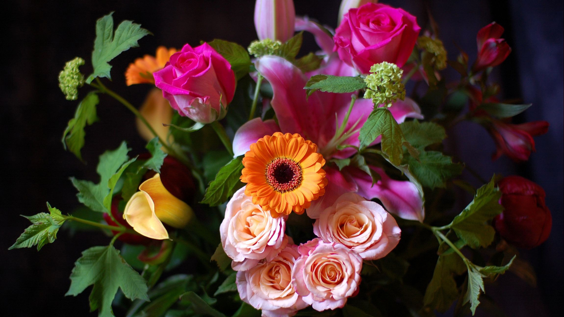 Free download wallpaper Plants, Bouquets, Flowers on your PC desktop
