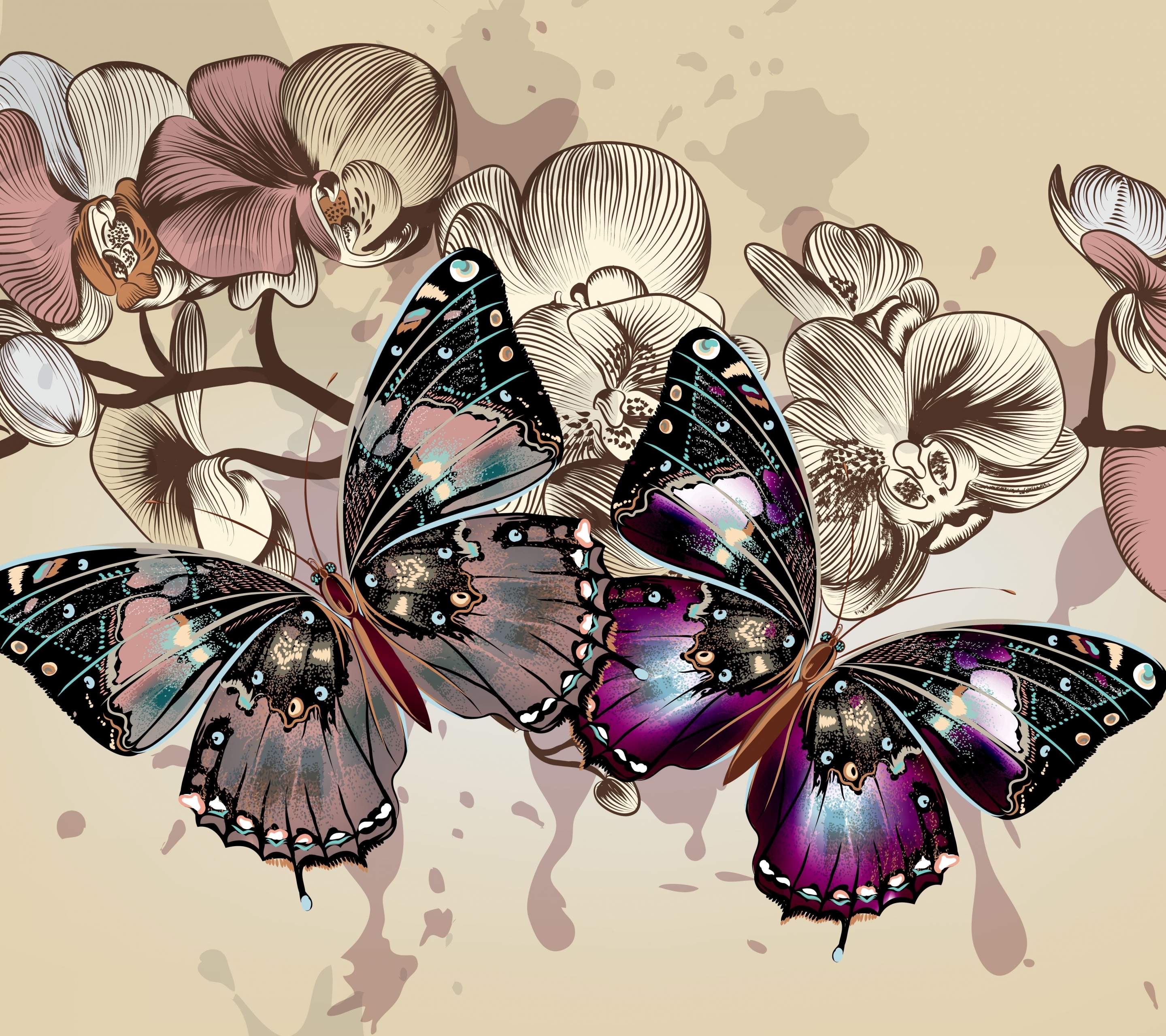 Laden Sie das Tiere, Schmetterlinge, Vektor, Blume, Flügel-Bild kostenlos auf Ihren PC-Desktop herunter