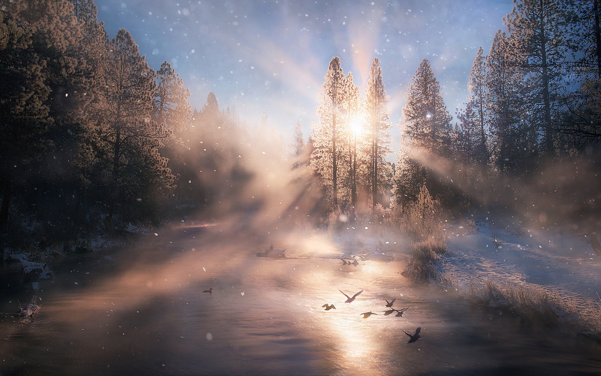 Free download wallpaper Winter, Nature, Earth, River, Snowfall, Sunbeam on your PC desktop