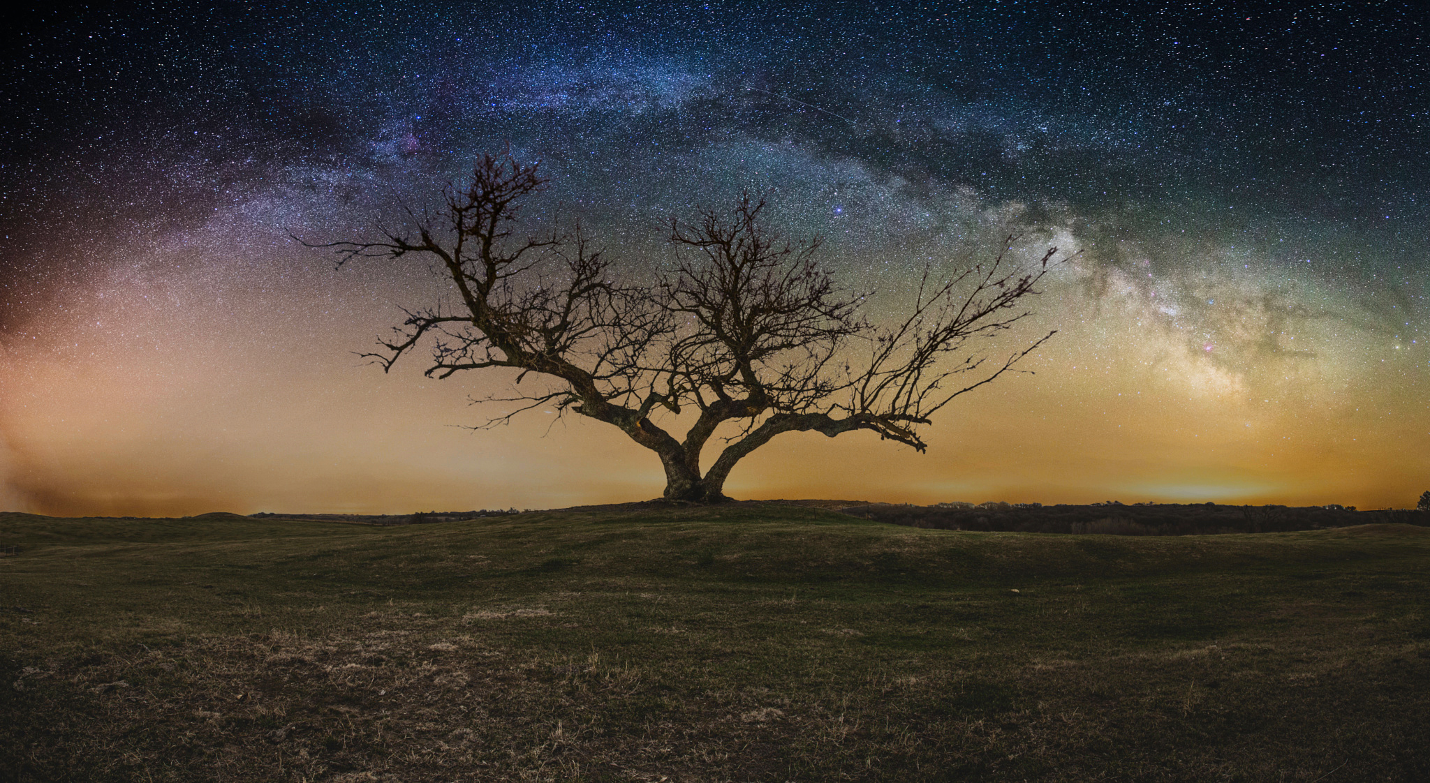 Download mobile wallpaper Nature, Trees, Night, Tree, Starry Sky, Earth, Milky Way, Lonely Tree for free.
