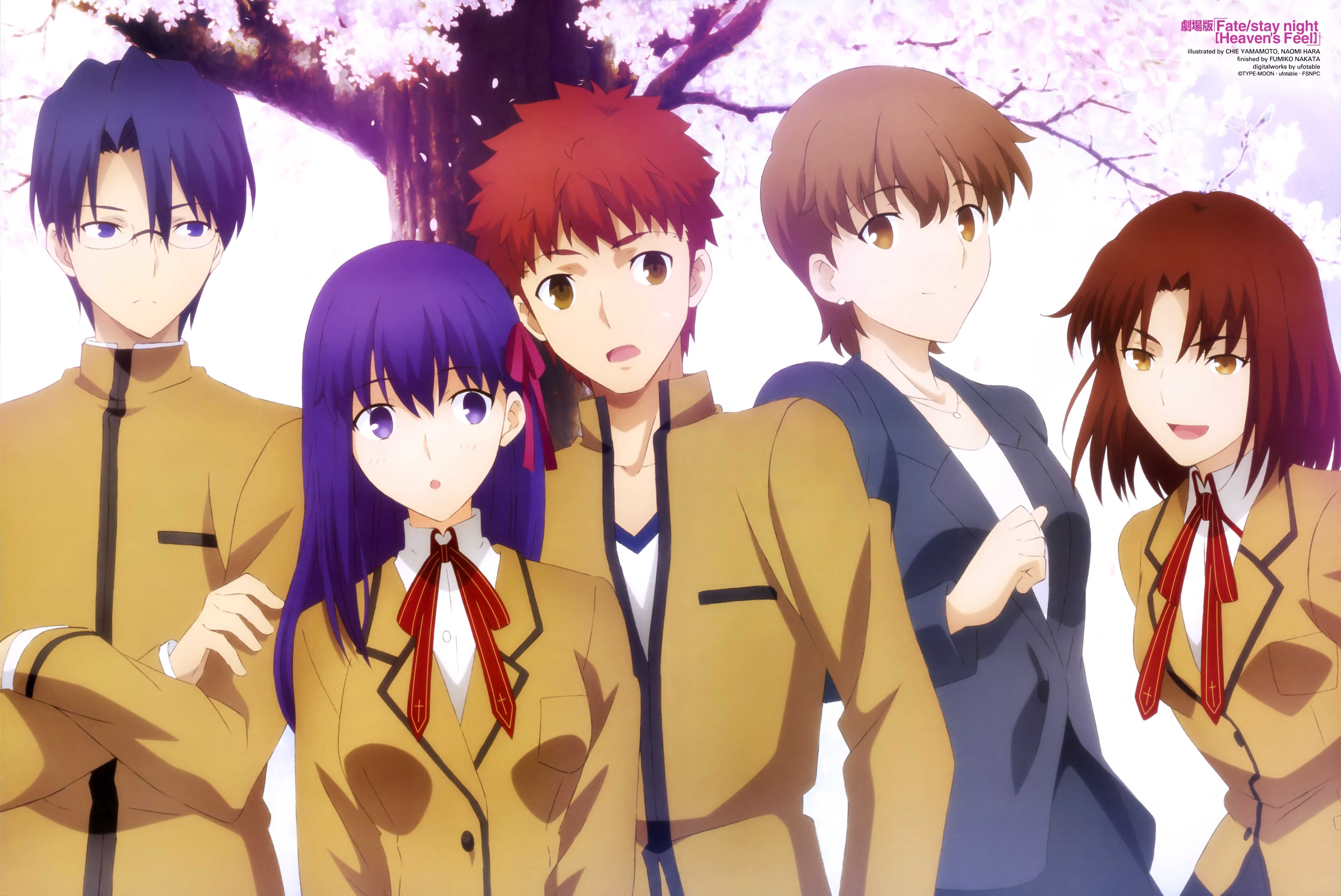 anime, fate/stay night movie: heaven's feel, sakura matou, shirou emiya, fate series