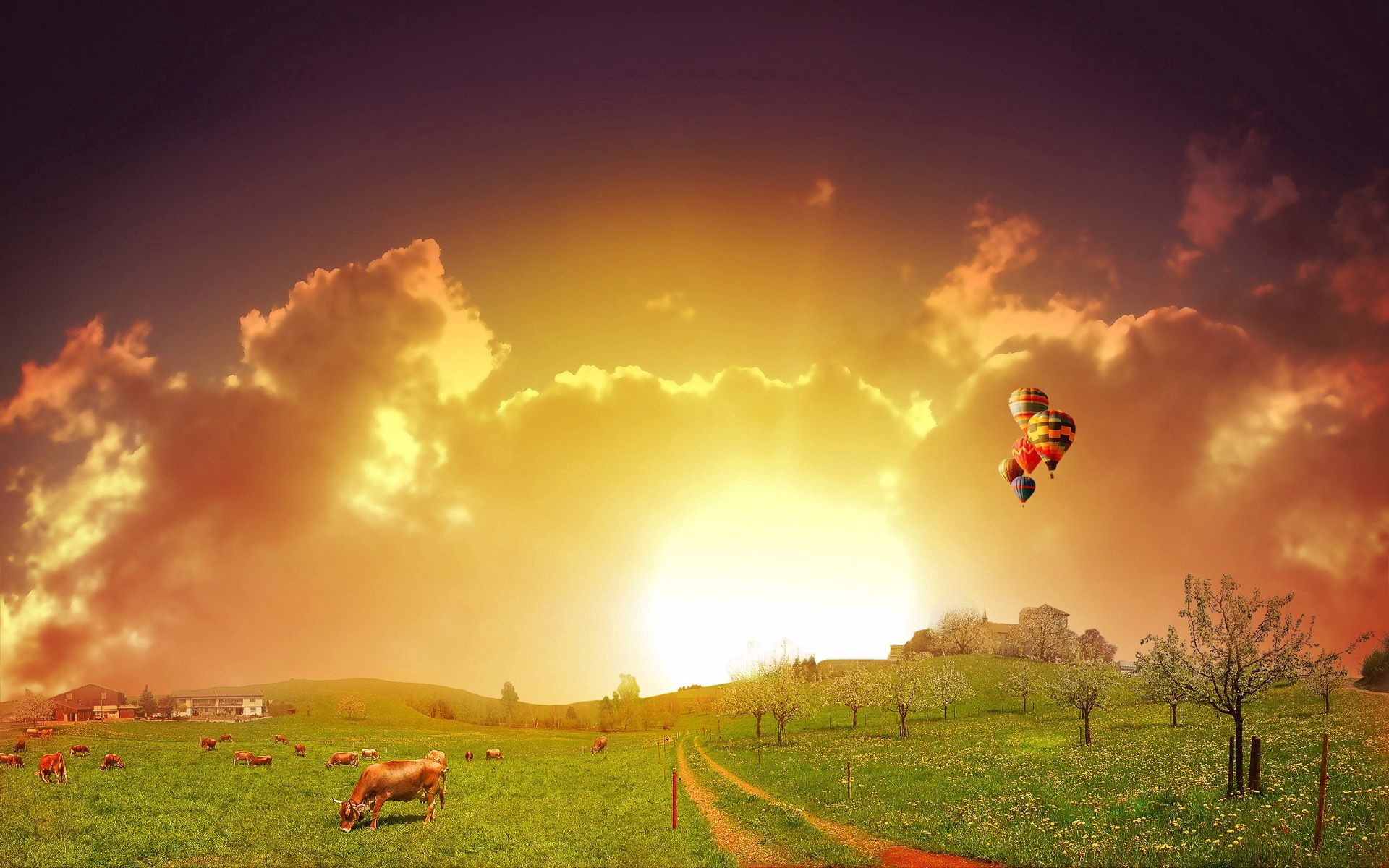 112123 скачать картинку луг, воздушные шары, пастбище, коровы, природа, дорога - обои и заставки бесплатно