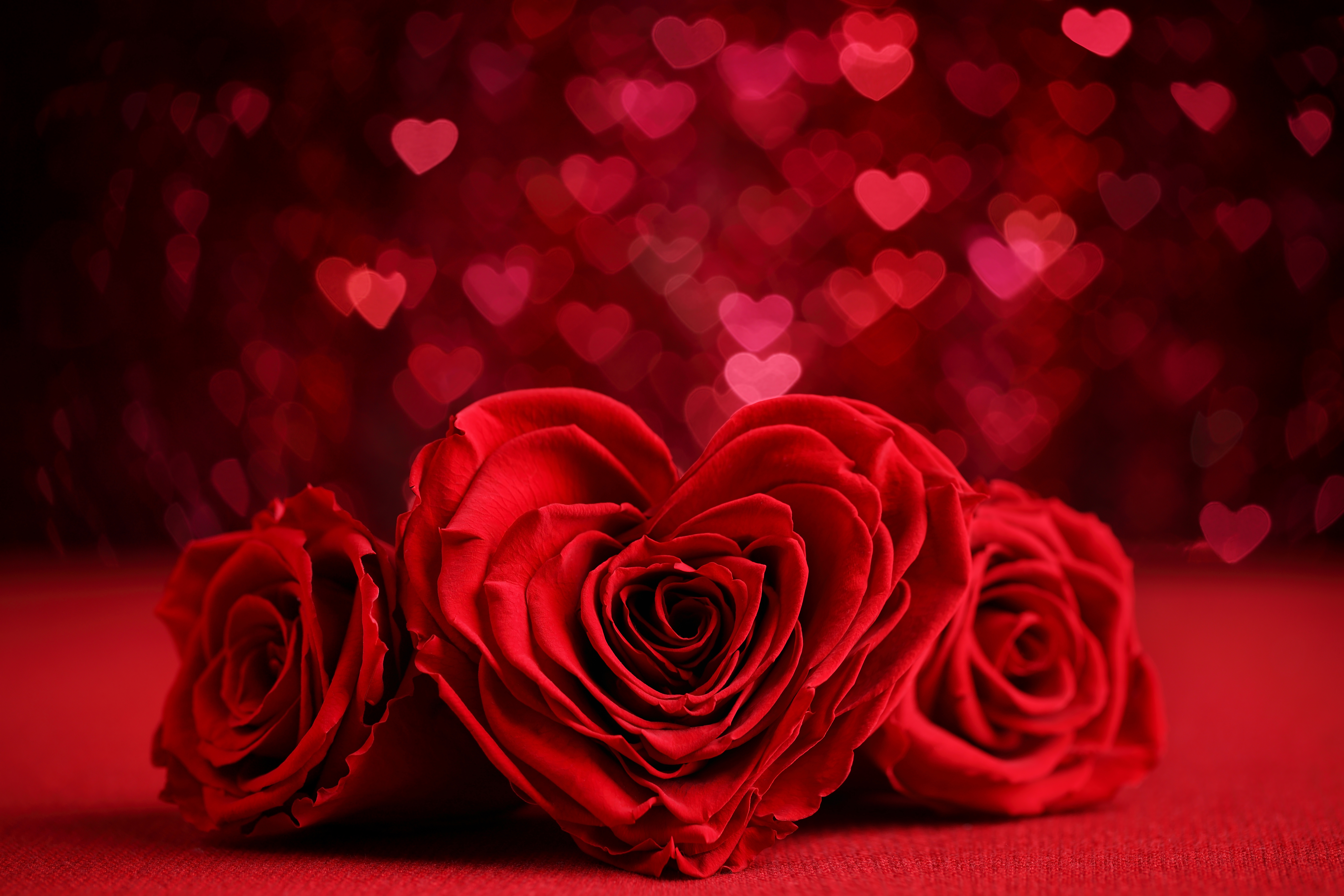 1530109 скачать обои красная роза, роза, в форме сердца, красный цветок, красный, день святого валентина, праздничные, боке, цветок, романтический - заставки и картинки бесплатно