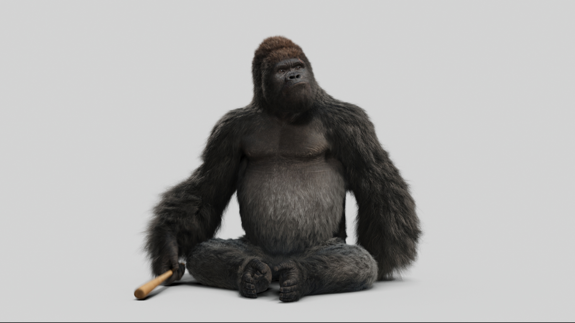 Download mobile wallpaper Gorilla, Movie, Mr Go for free.