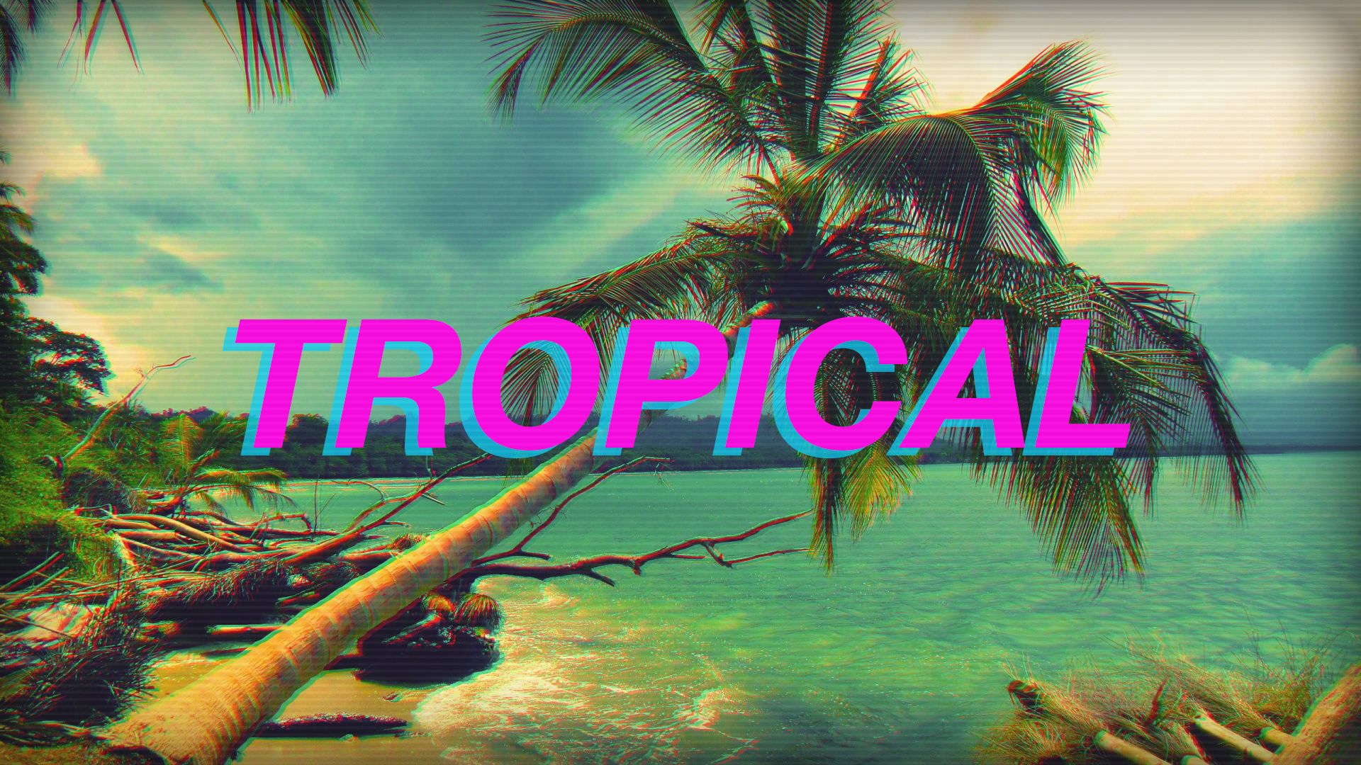 artistic, vaporwave, tropical