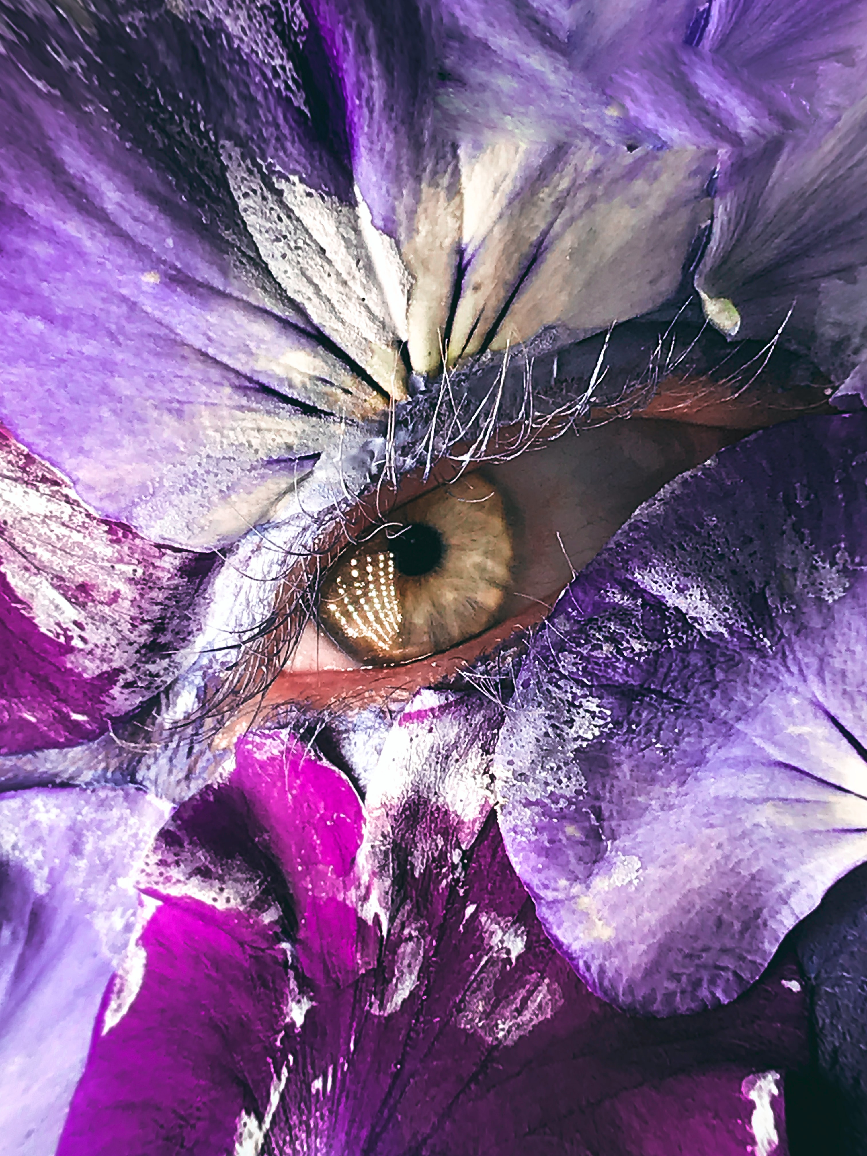 Download mobile wallpaper Petals, Macro, Makeup, Eye, Creative for free.