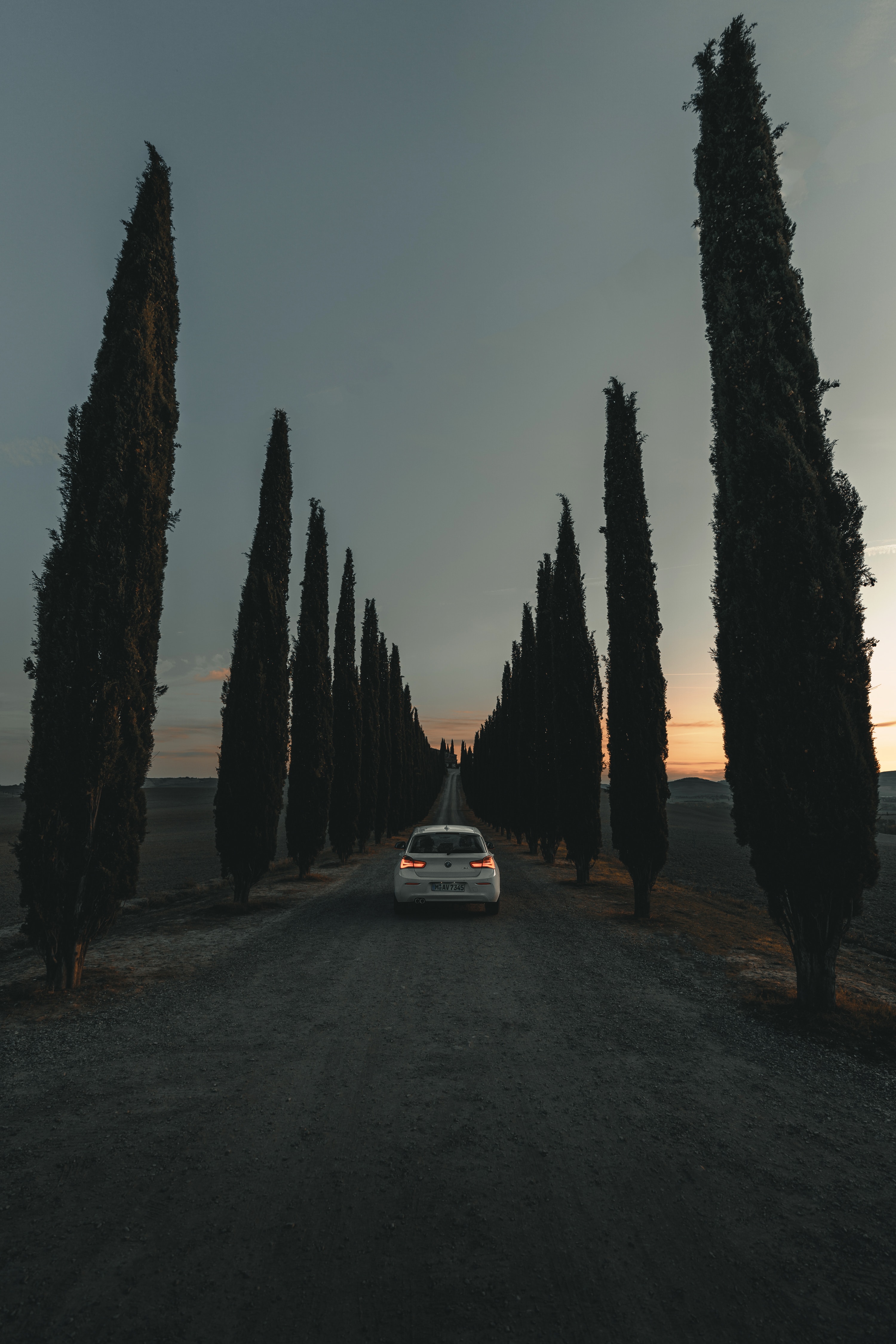 PC Wallpapers alley, trees, twilight, cars, road, car, machine, dusk