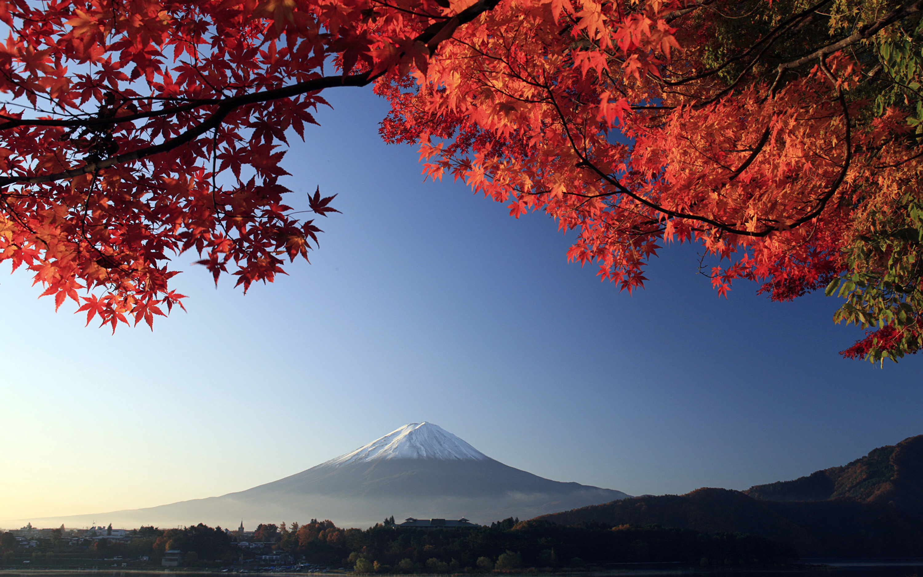 227182 descargar fondo de pantalla monte fuji, japón, volcanes, tierra/naturaleza, otoño, volcán: protectores de pantalla e imágenes gratis