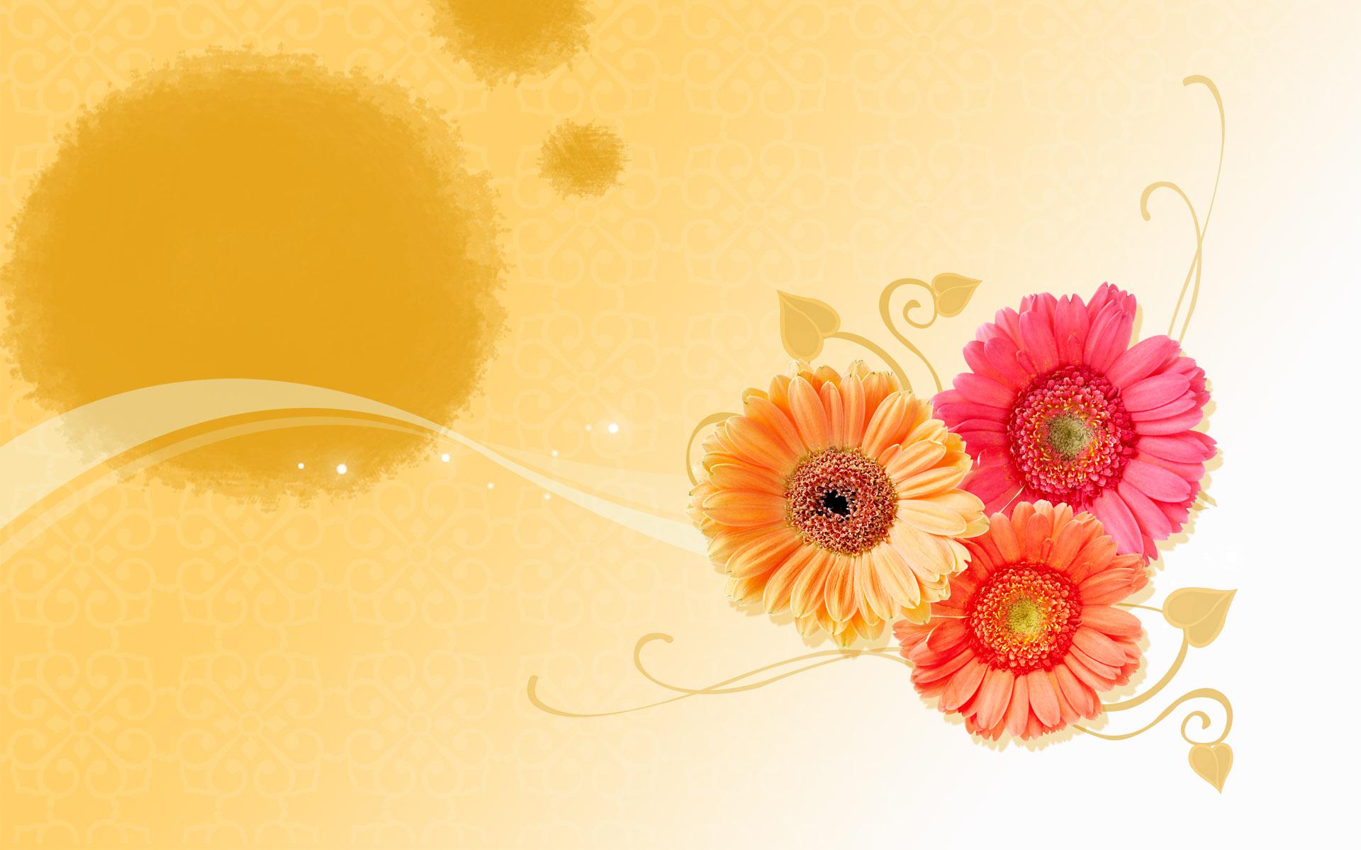 Download mobile wallpaper Flowers, Flower, Colors, Colorful, Spring, Artistic, Gerbera, Pink Flower, Orange Flower for free.