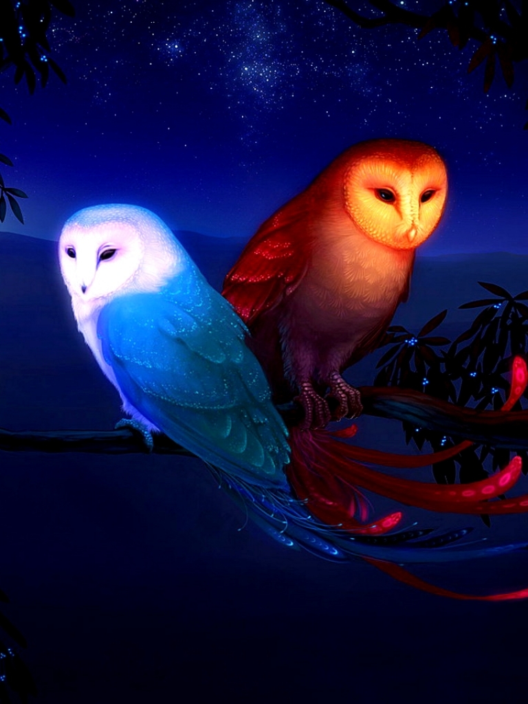 Download mobile wallpaper Birds, Owl, Animal for free.