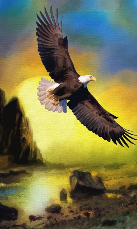 Download mobile wallpaper Landscape, Birds, Sunset, Bird, Animal, Painting, Bald Eagle for free.