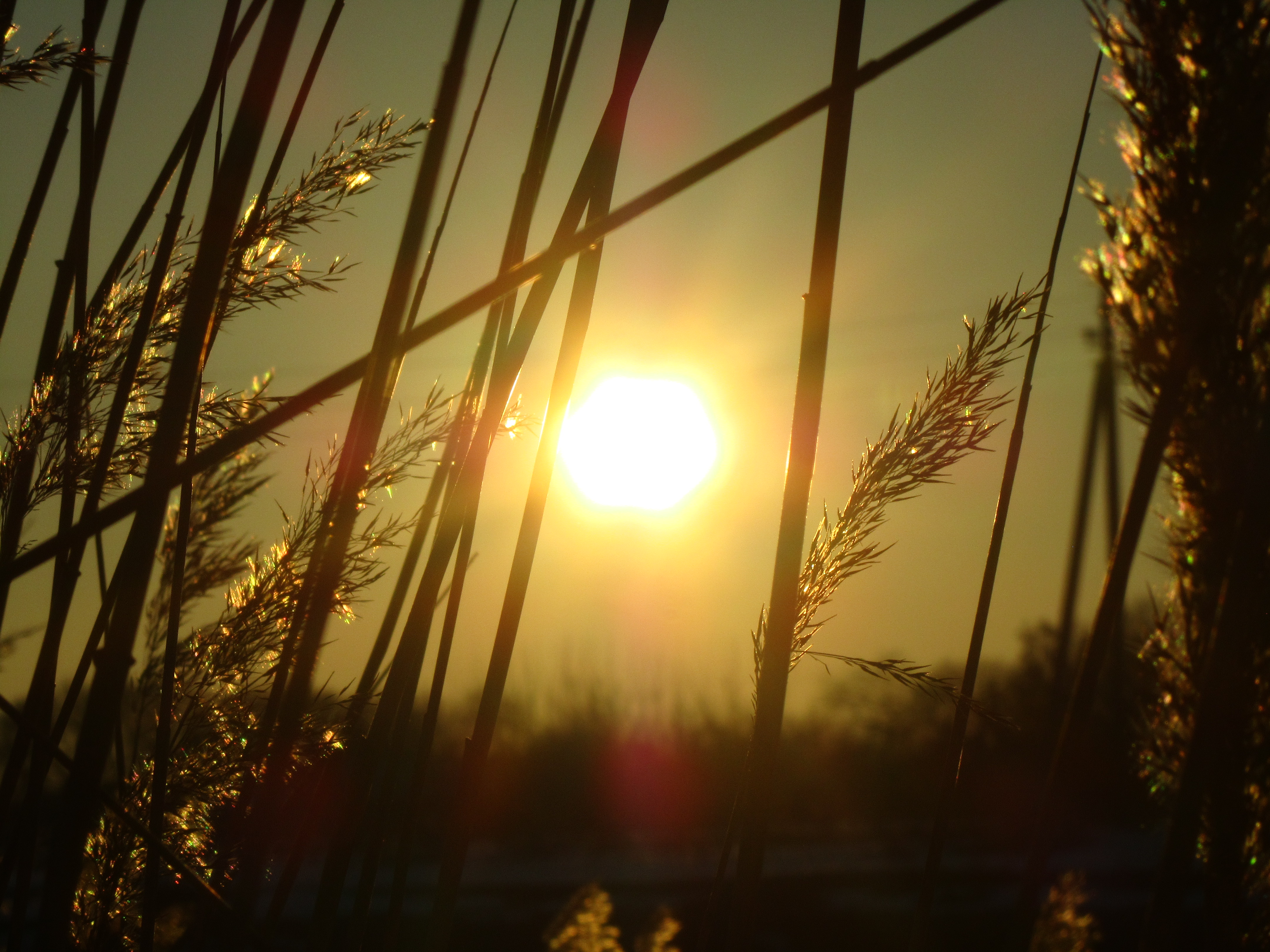 Téléchargez gratuitement l'image Rayon De Soleil, Terre/nature sur le bureau de votre PC