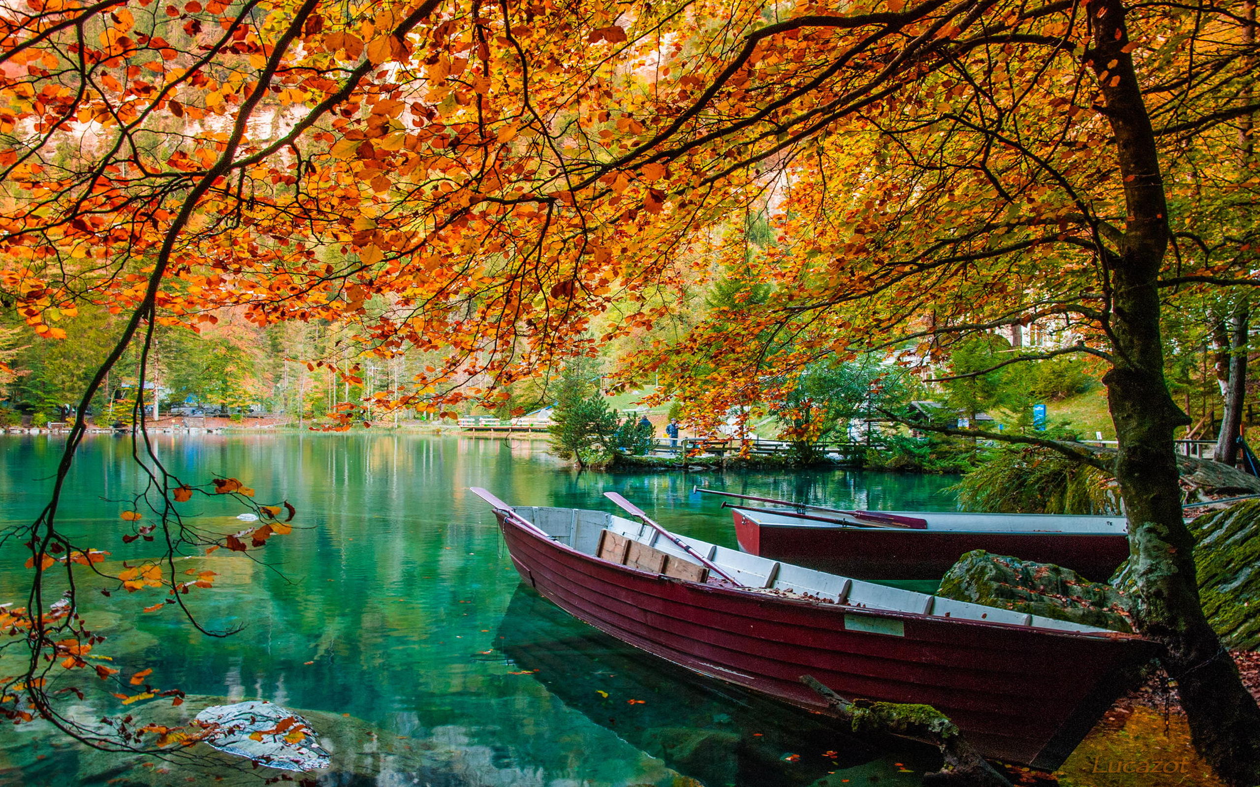 Скачать картинку Осень, Озеро, Дерево, Лодка, Транспортные Средства в телефон бесплатно.