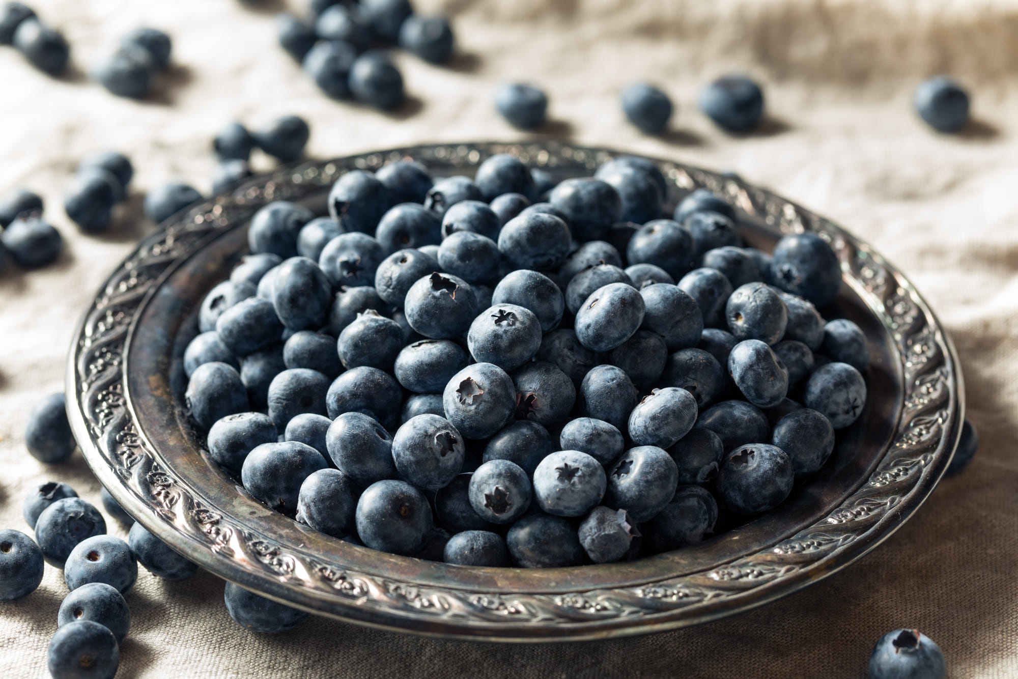 Free download wallpaper Food, Blueberry, Berry on your PC desktop