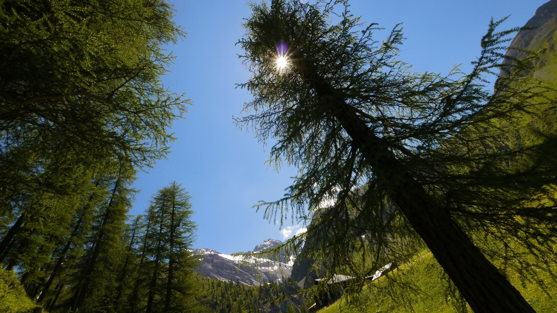 Free download wallpaper Nature, Trees, Landscape, Mountains on your PC desktop