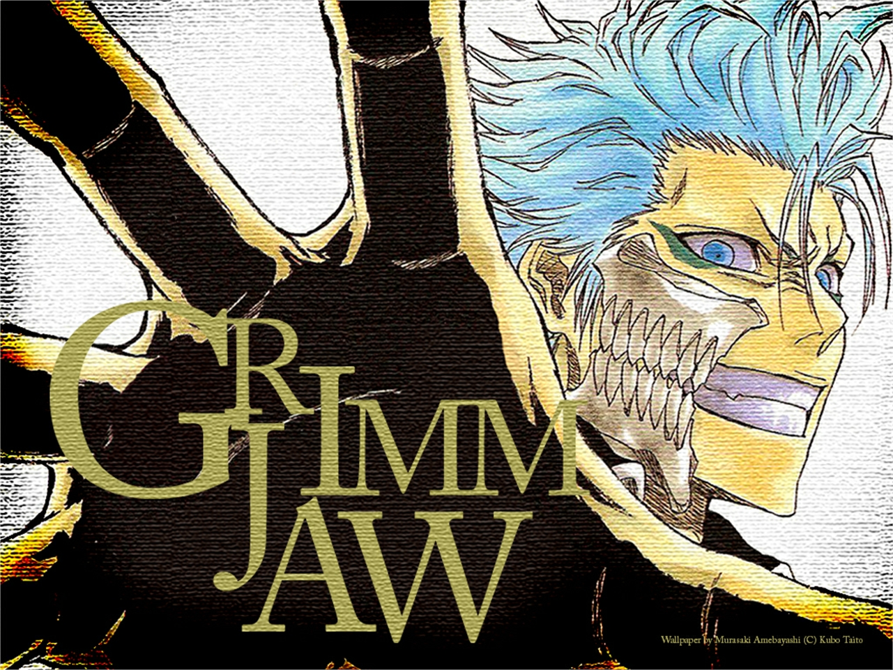 Baixe gratuitamente a imagem Anime, Alvejante, Grimmjow Jaegerjaquez na área de trabalho do seu PC