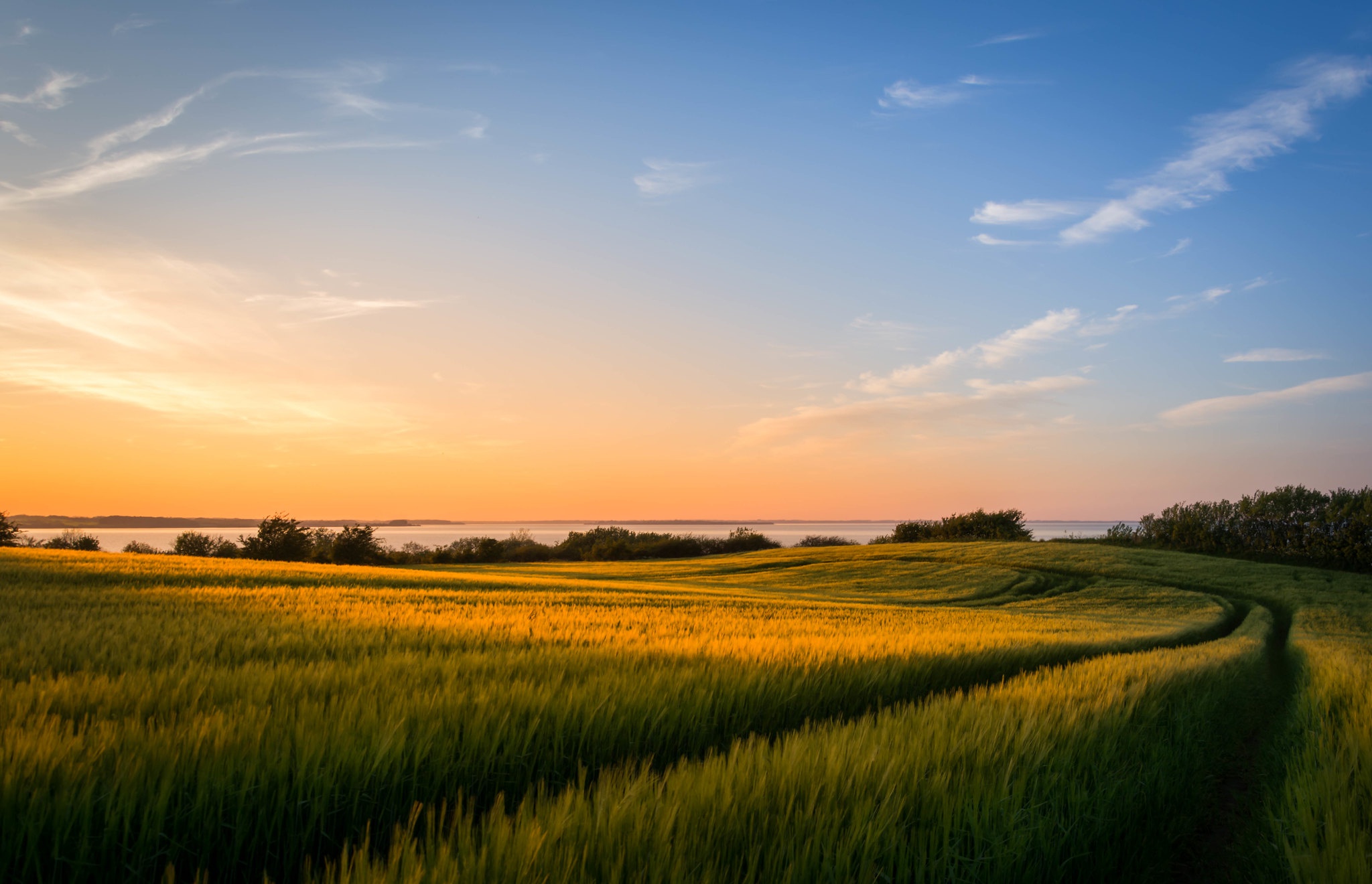 Free download wallpaper Nature, Sunset, Earth, Field on your PC desktop