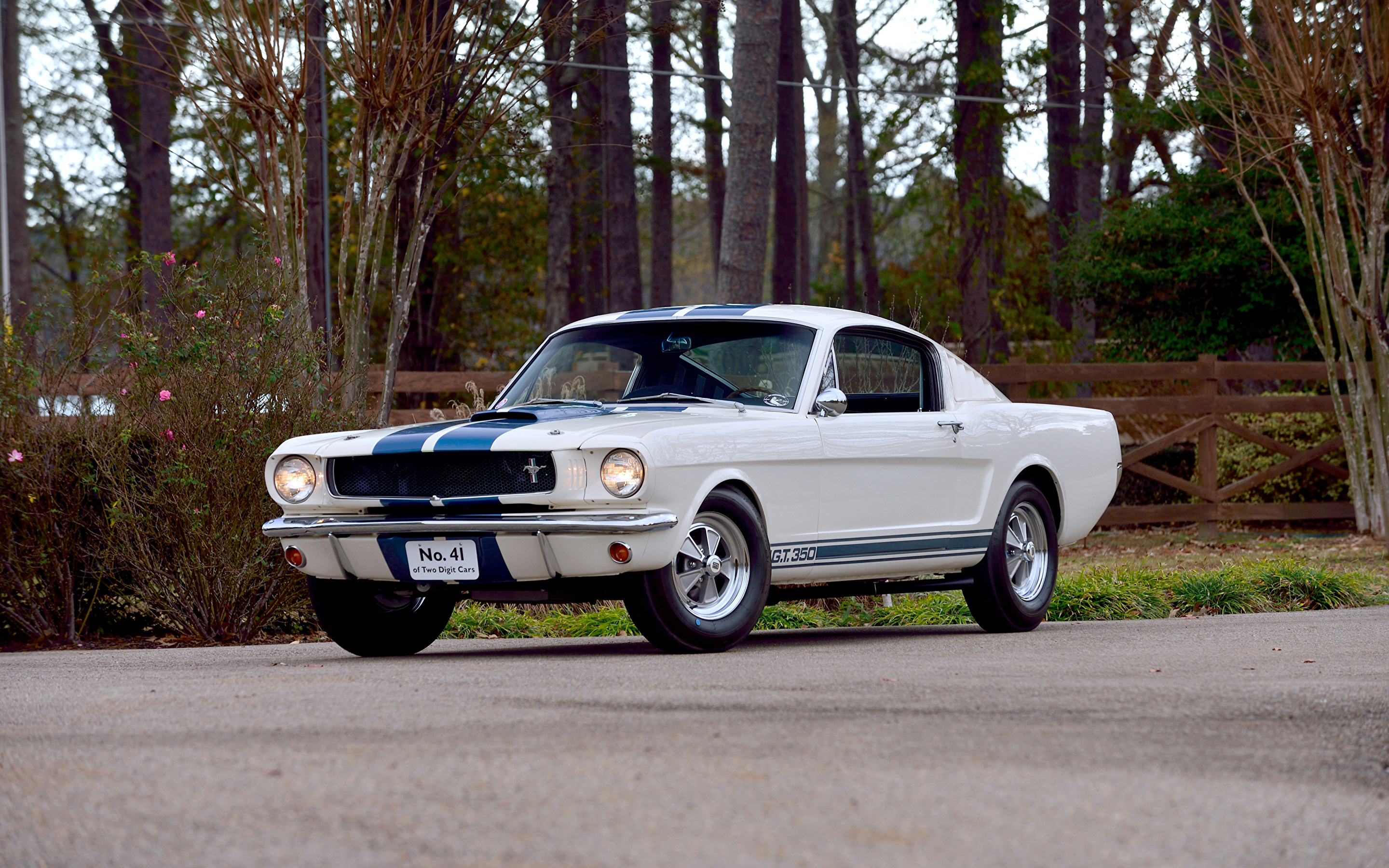 vehicles, shelby mustang gt 350, car, fastback, muscle car, shelby mustang gt350, white car, ford