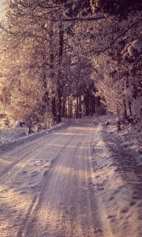 Descarga gratuita de fondo de pantalla para móvil de Invierno, Tierra/naturaleza.