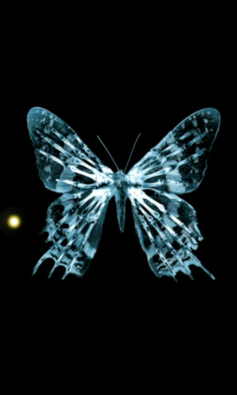 Descarga gratuita de fondo de pantalla para móvil de Animales, Mariposa.