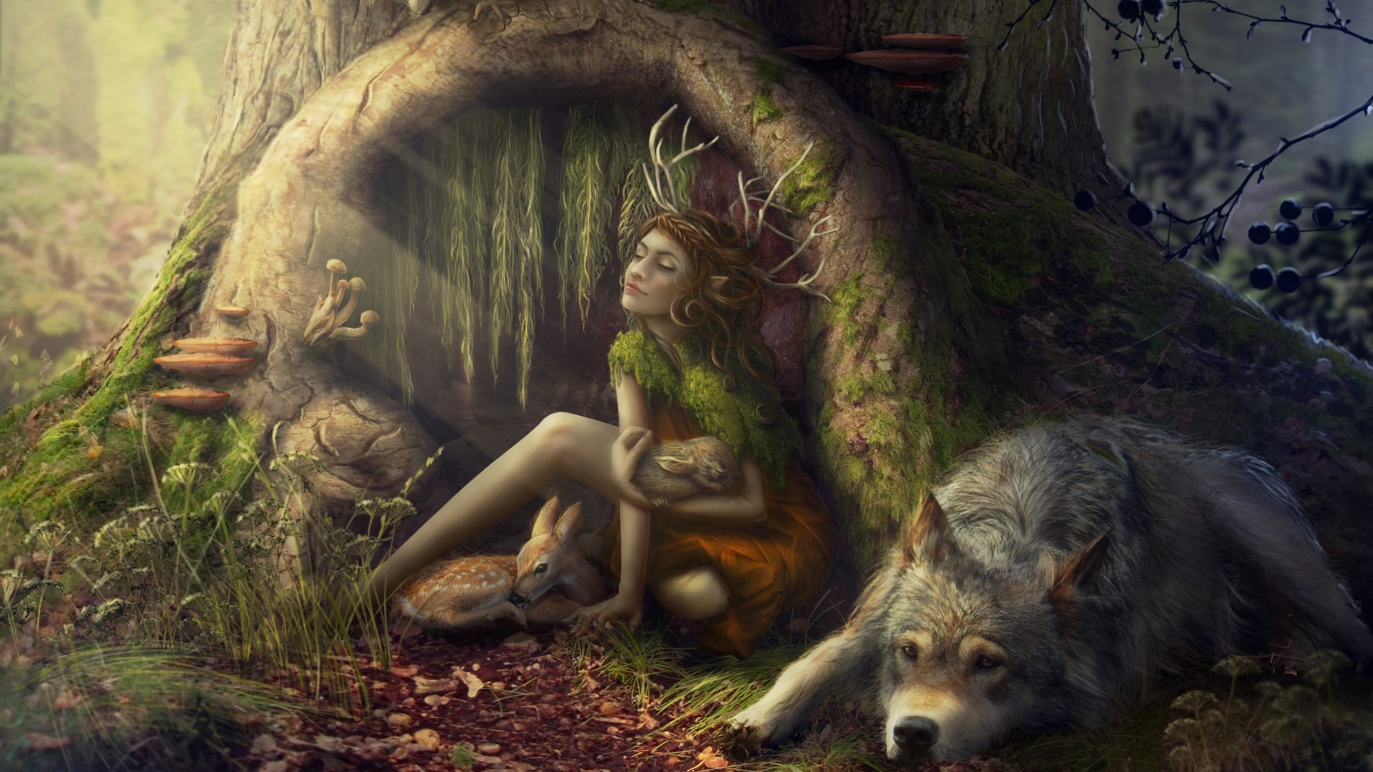 fantasy, sylvan, forest, tree, wolf